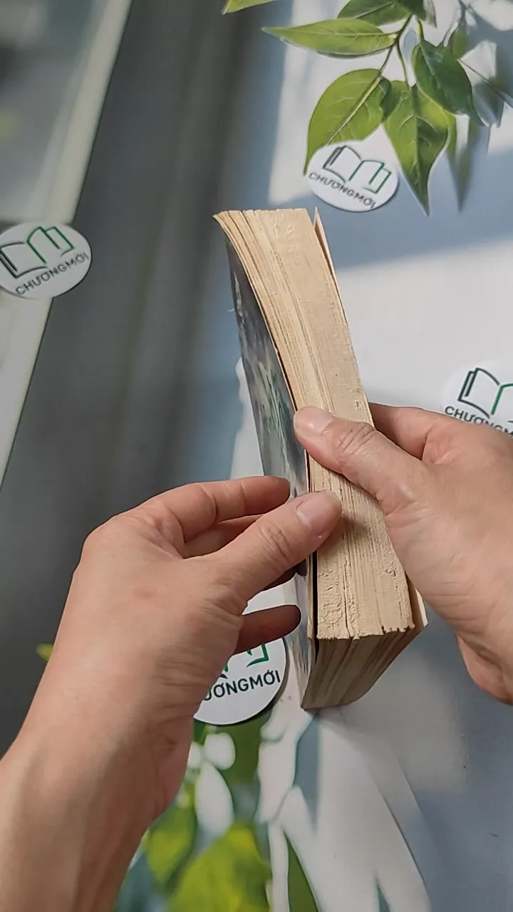 [XƯA] Đỉnh Đồi (1994) - Irwin Shaw 776066