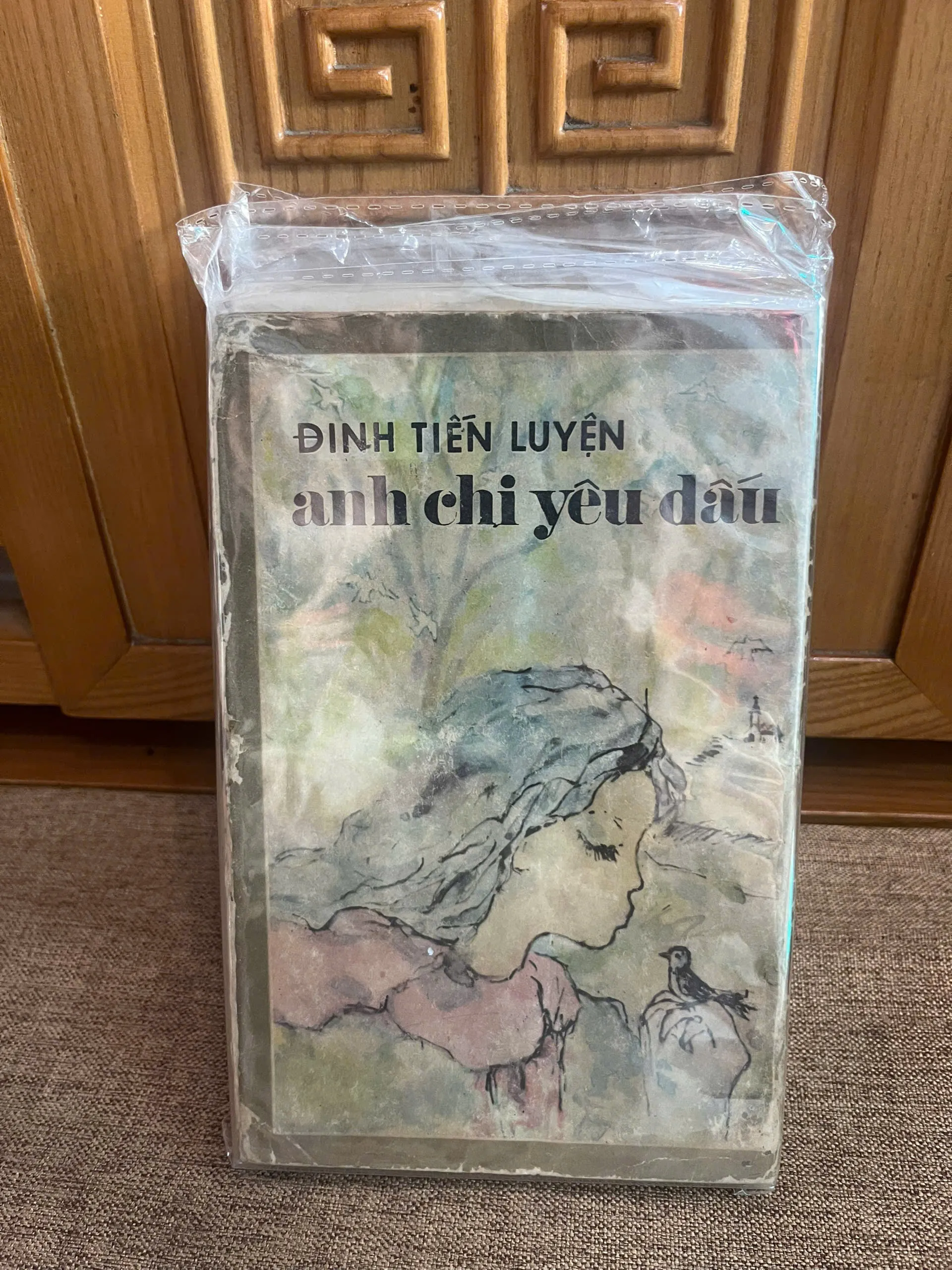 Anh Chị Yêu Dấu – Đinh Tiến Luyện