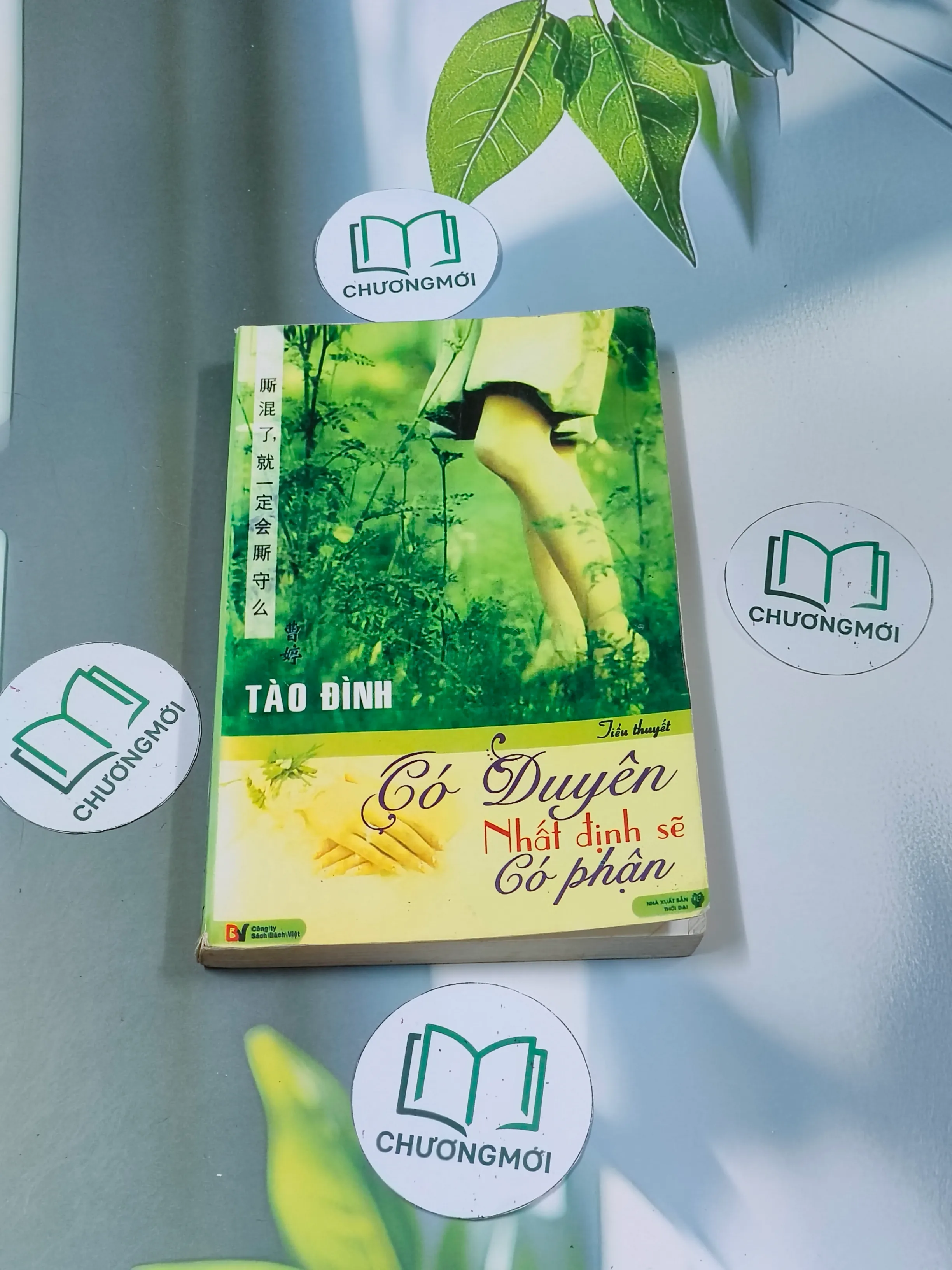 Có duyên nhất định sẽ có phận - Tào Đình