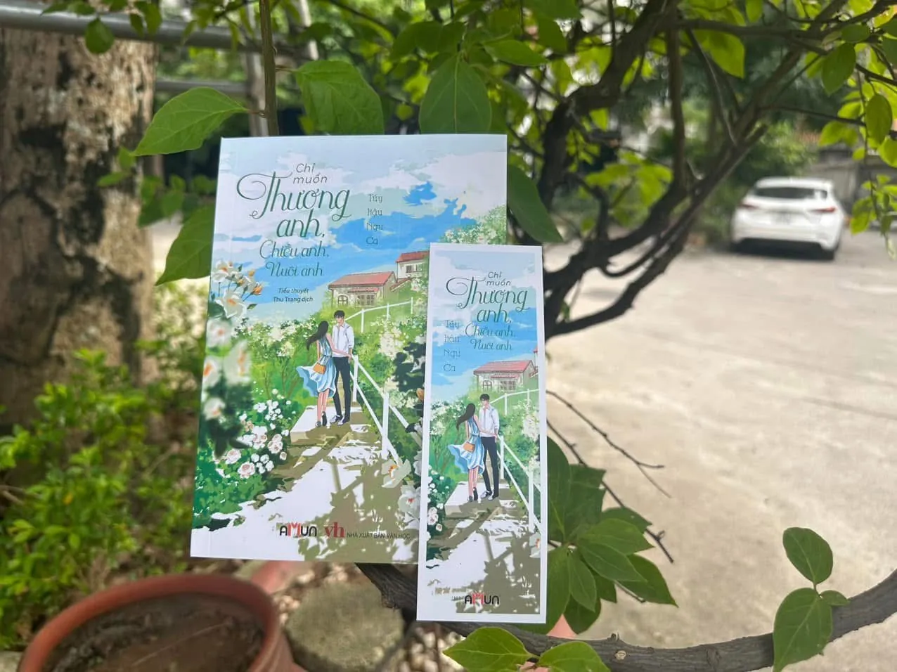 Chỉ muốn thương anh, chiều anh, nuôi anh