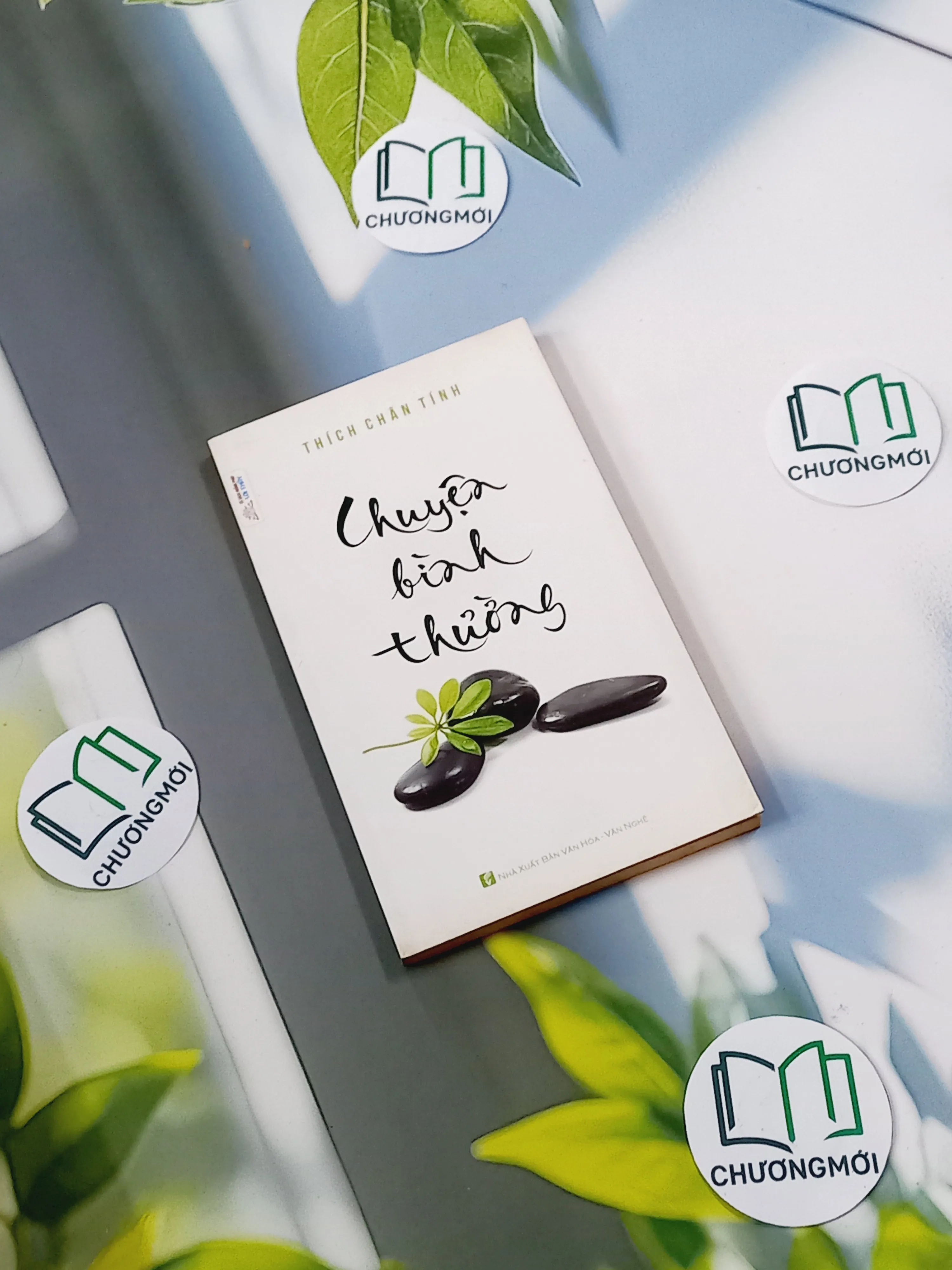 Chuyện Bình Thường - Thích Chân Tính