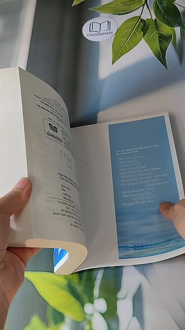 Chân trời góc bể - Diệp Lạc Vô Tâm 607726