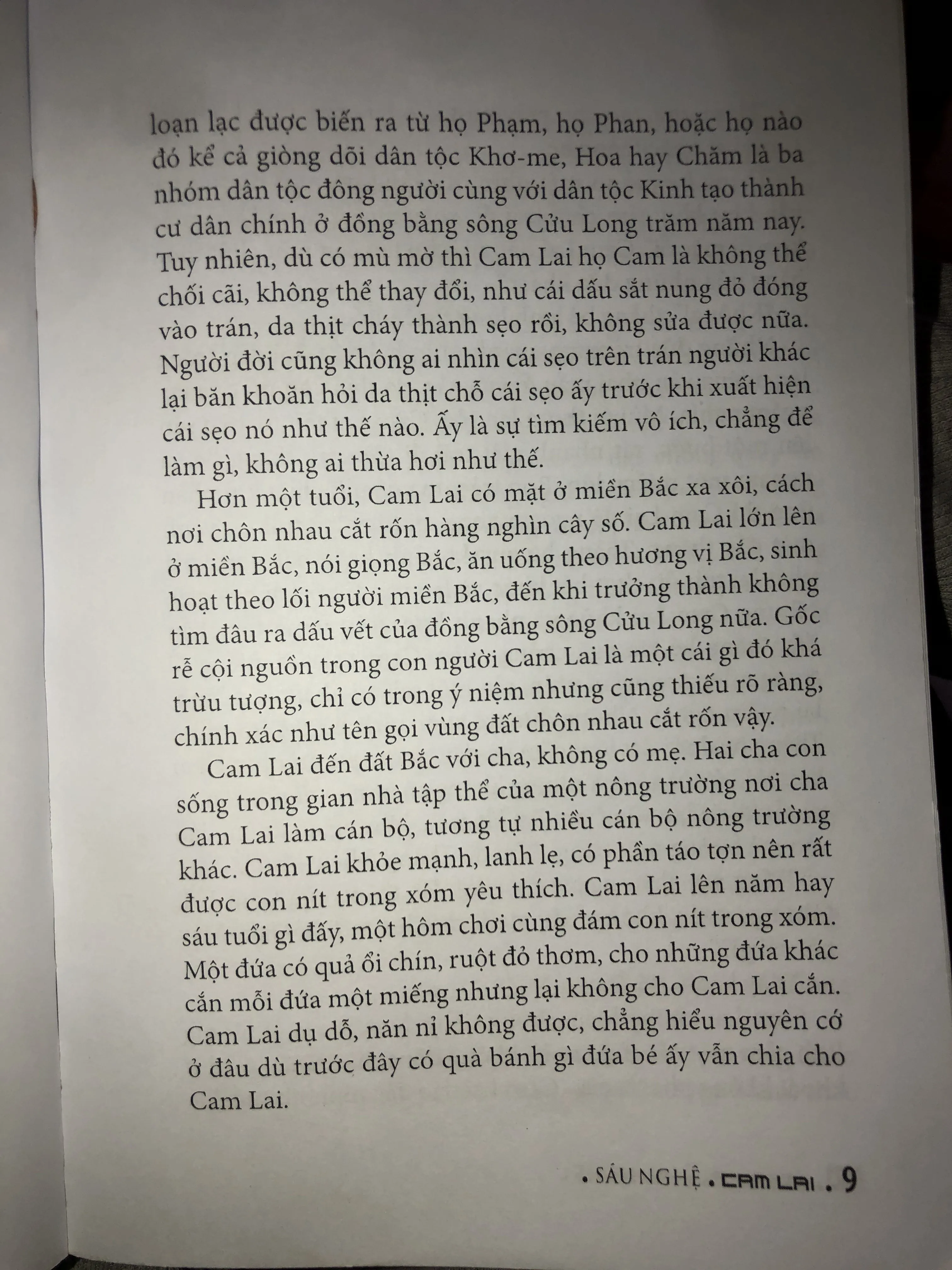 Cam Lai - Sáu Nghệ 1000990