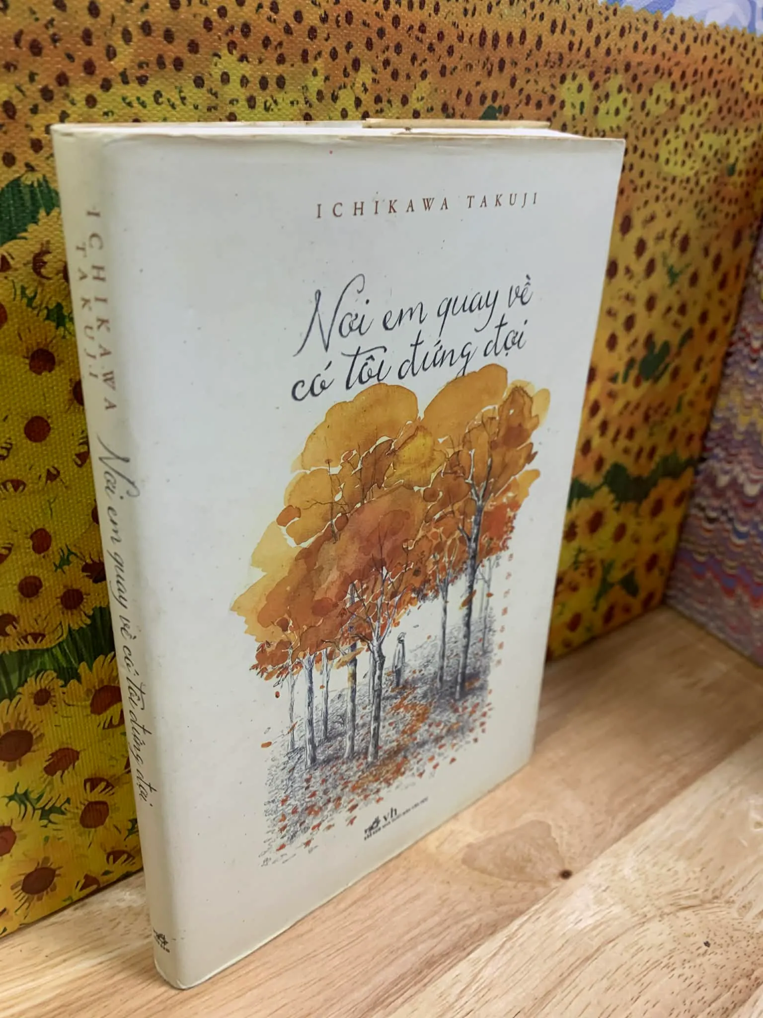 Nơi Em Quay Về Có Tôi Đứng Đợi - Takuji Ichikawa