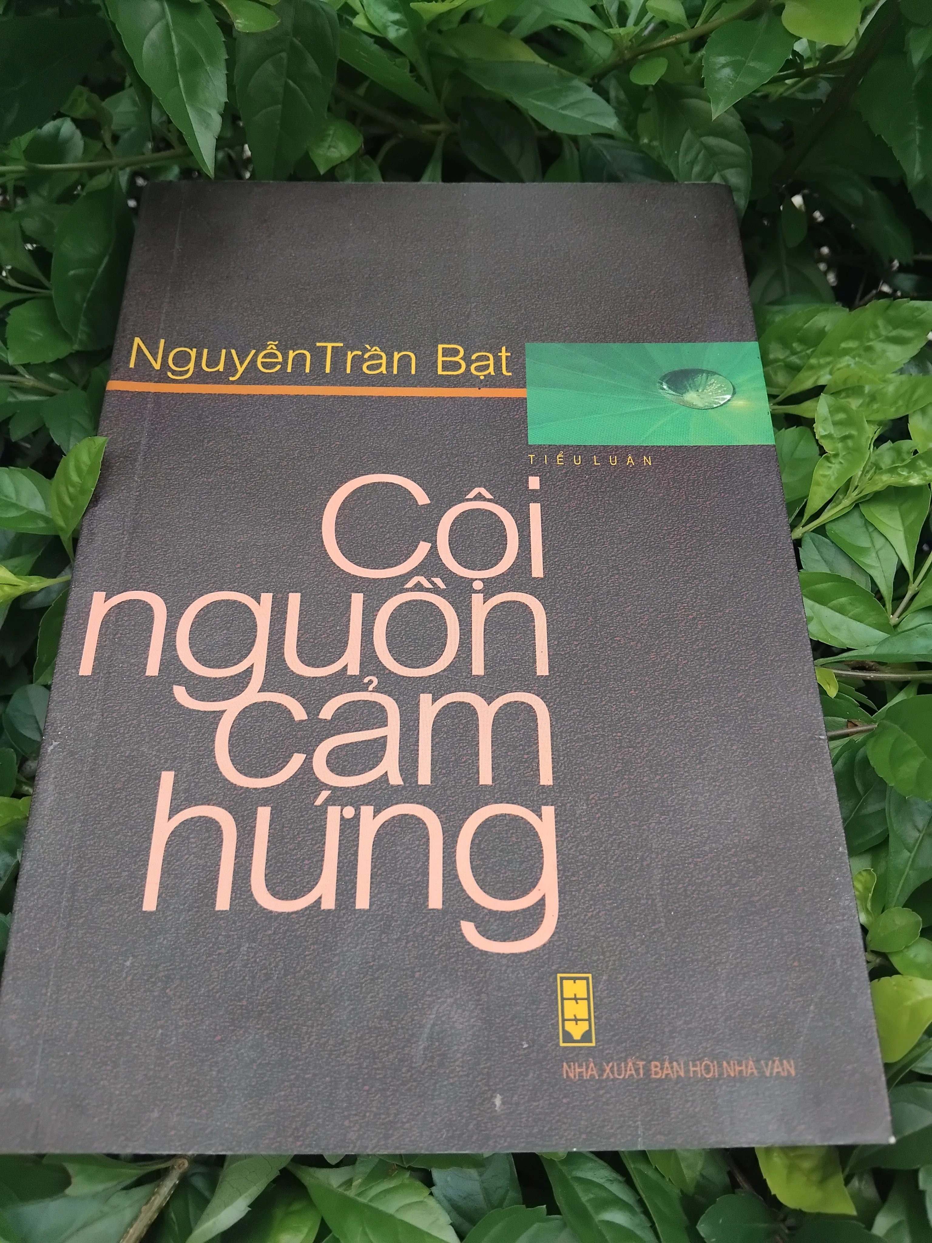 Cội nguồn cảm hứng của Nguyễn Trần Bạt 