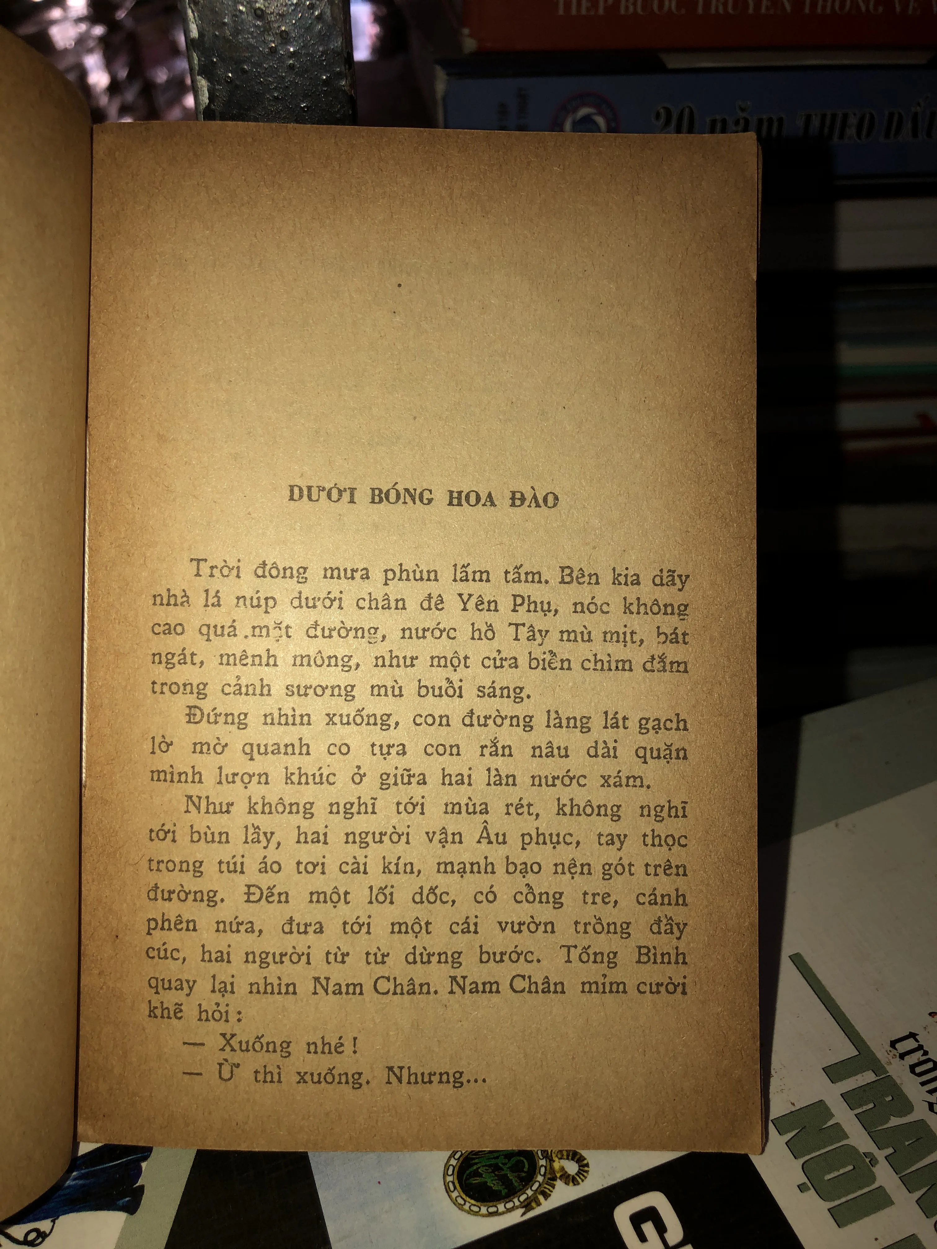 Anh phải sống - Khái Hưng 1001350