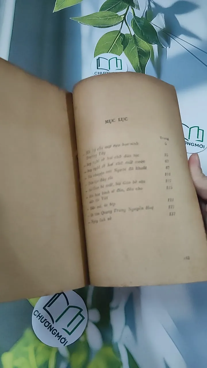 [MIỄN PHÍ BỌC SÁCH] [XƯA] Tìm Về Dân Tộc (1990) - Lý Chánh Trung 776027