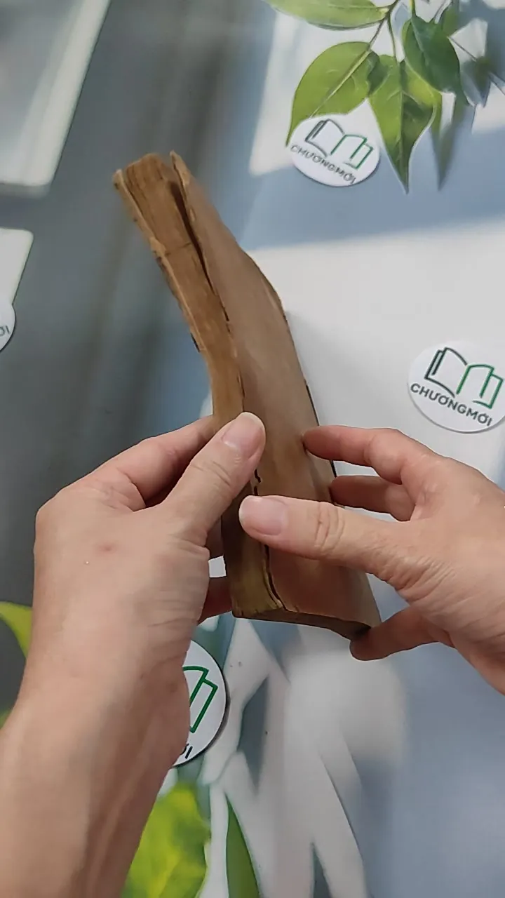 [XƯA] Cái Lều Của Chú Tom - Sách Song Ngữ (1985) - Harriet Beecher Stowe 776092