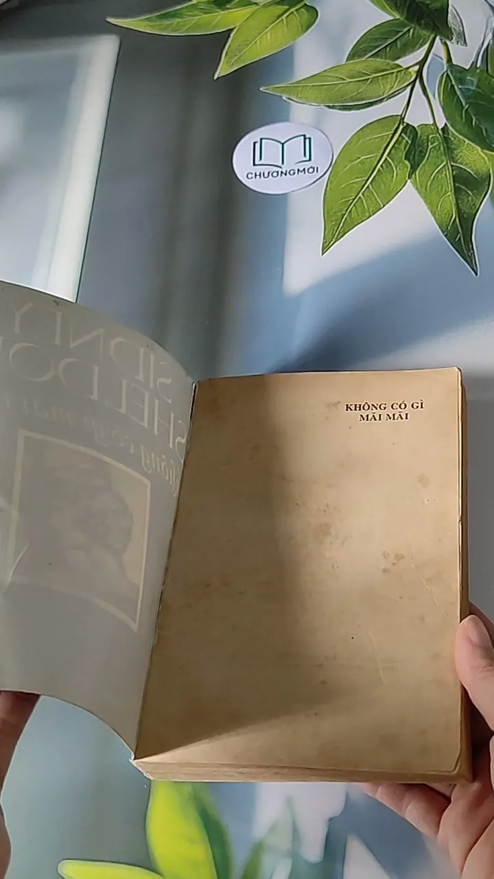 Không Có Gì Mãi Mãi 607693