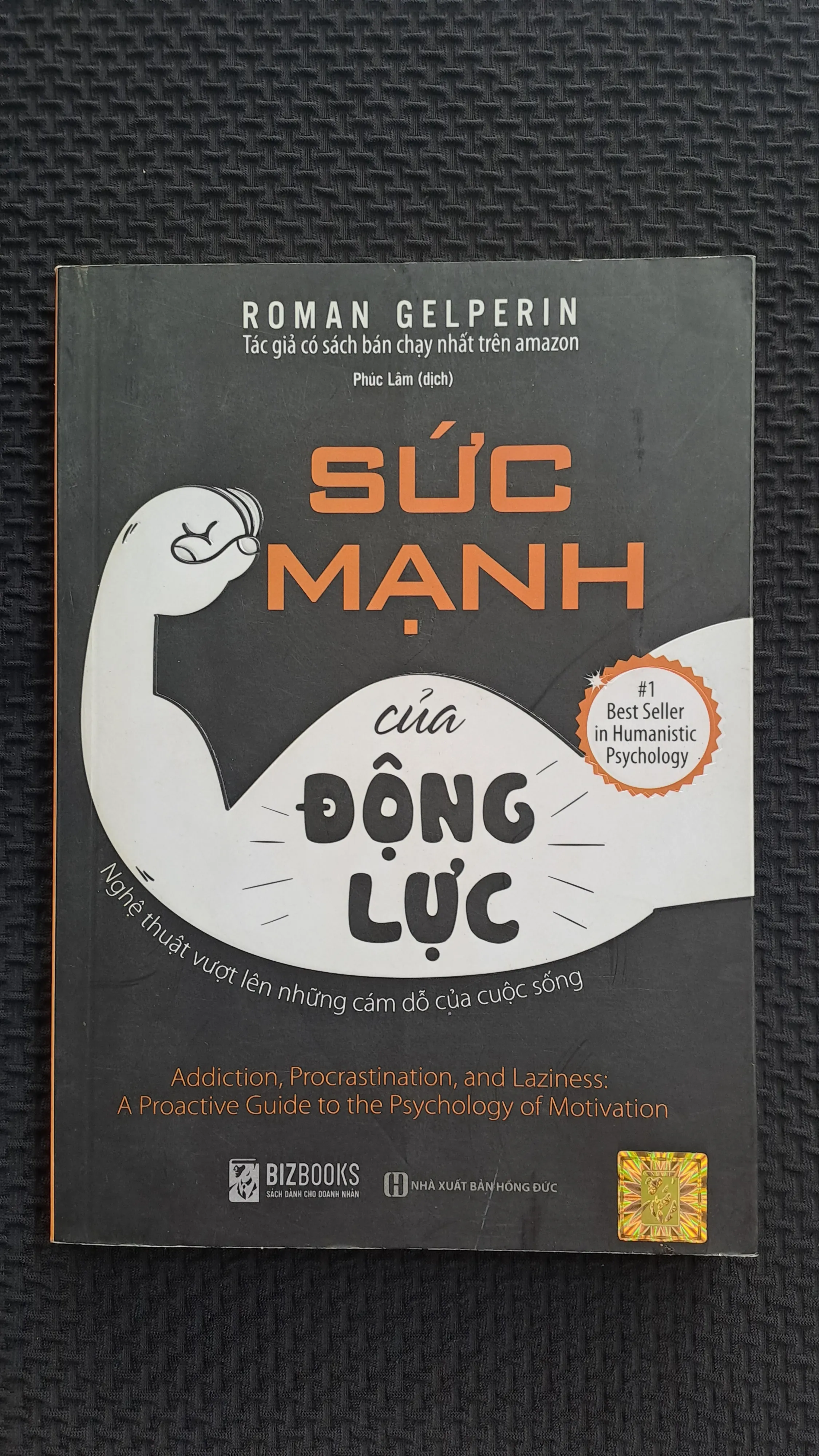 Sức mạnh của động lực - Roman Gelperin