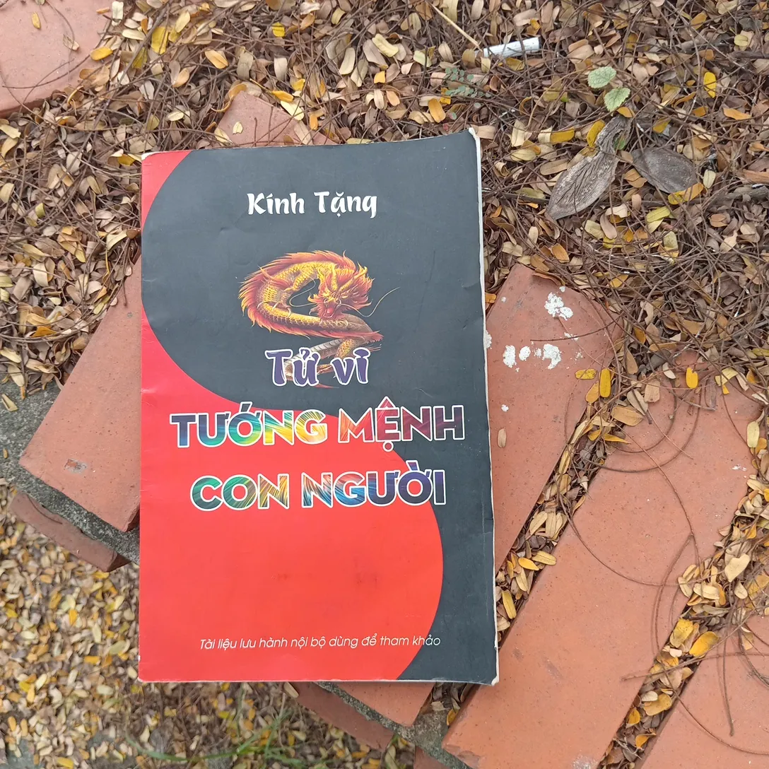 Tử vi tướng mệnh con người