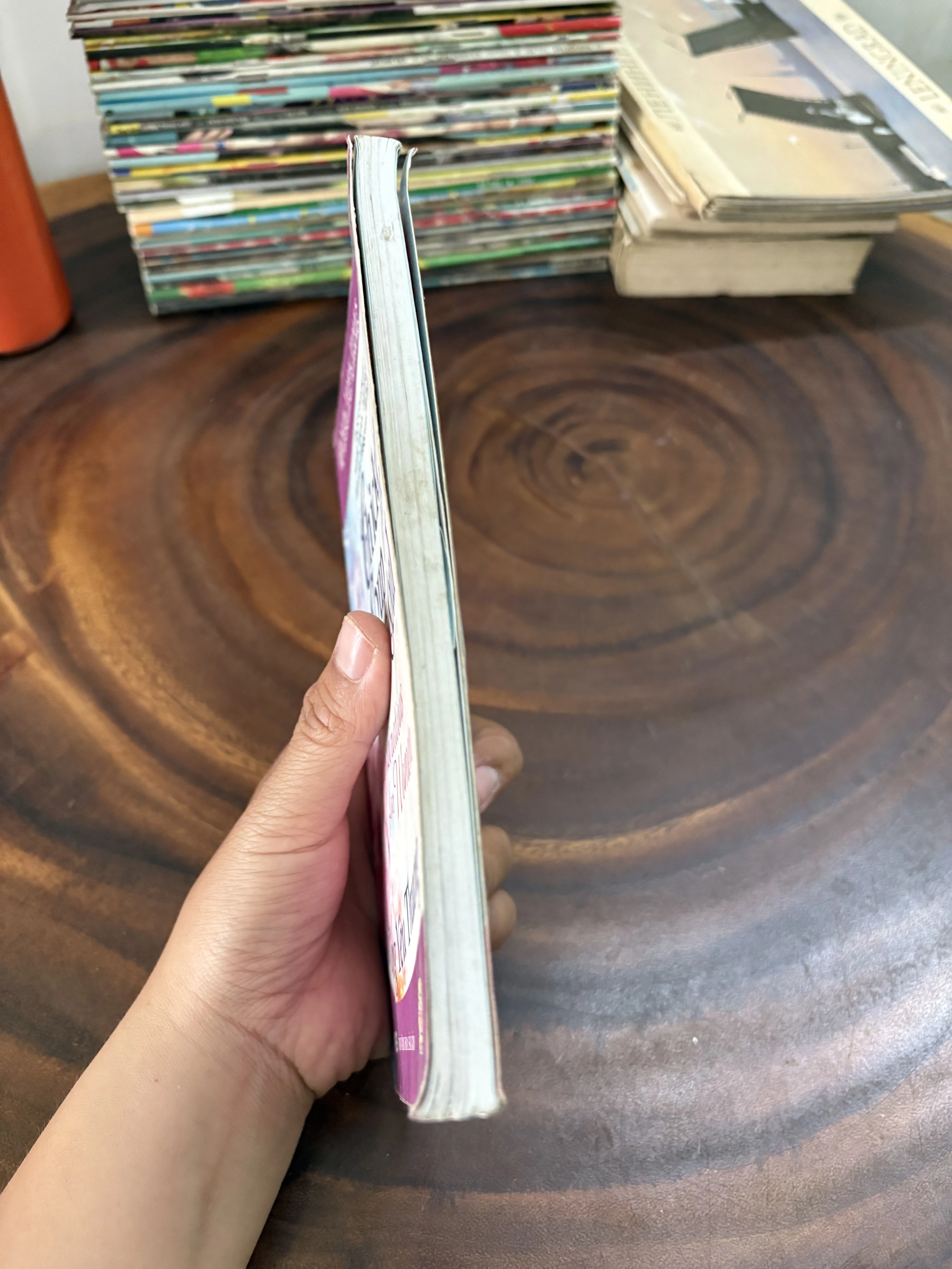 II Chicken Soup For The Soul: Hạt Giống Yêu Thương - 2009 999208