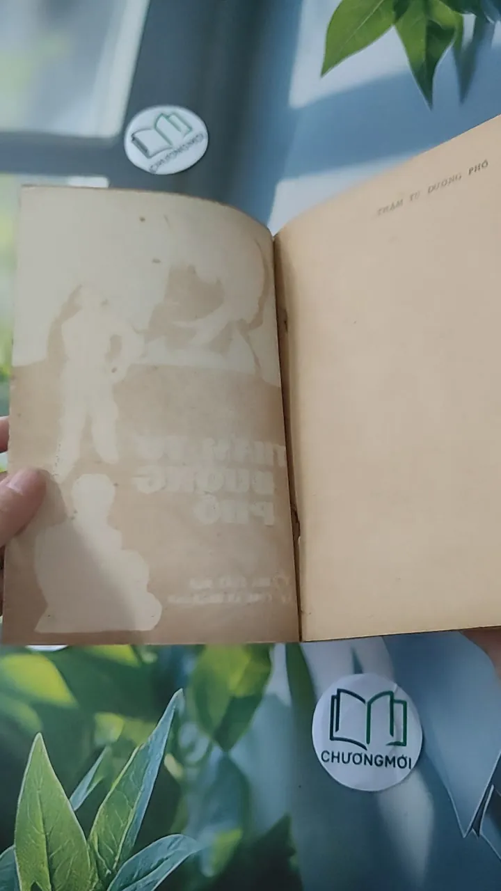 [XƯA] Thám Tử Đường Phố (1981) - Thanh Đạm 997780