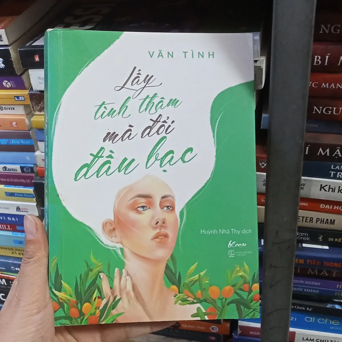 Lấy Tình Thâm Mà Đổi Đầu Bạc- Vãn Tình 