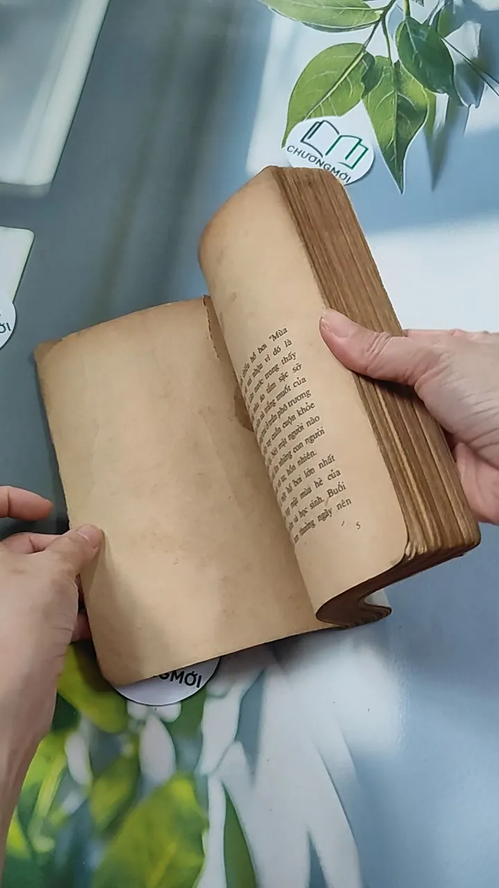 [XƯA] Chia Tay Chiều Năm Ấy (1991) - Đỗ Thị Thanh Hương 776084