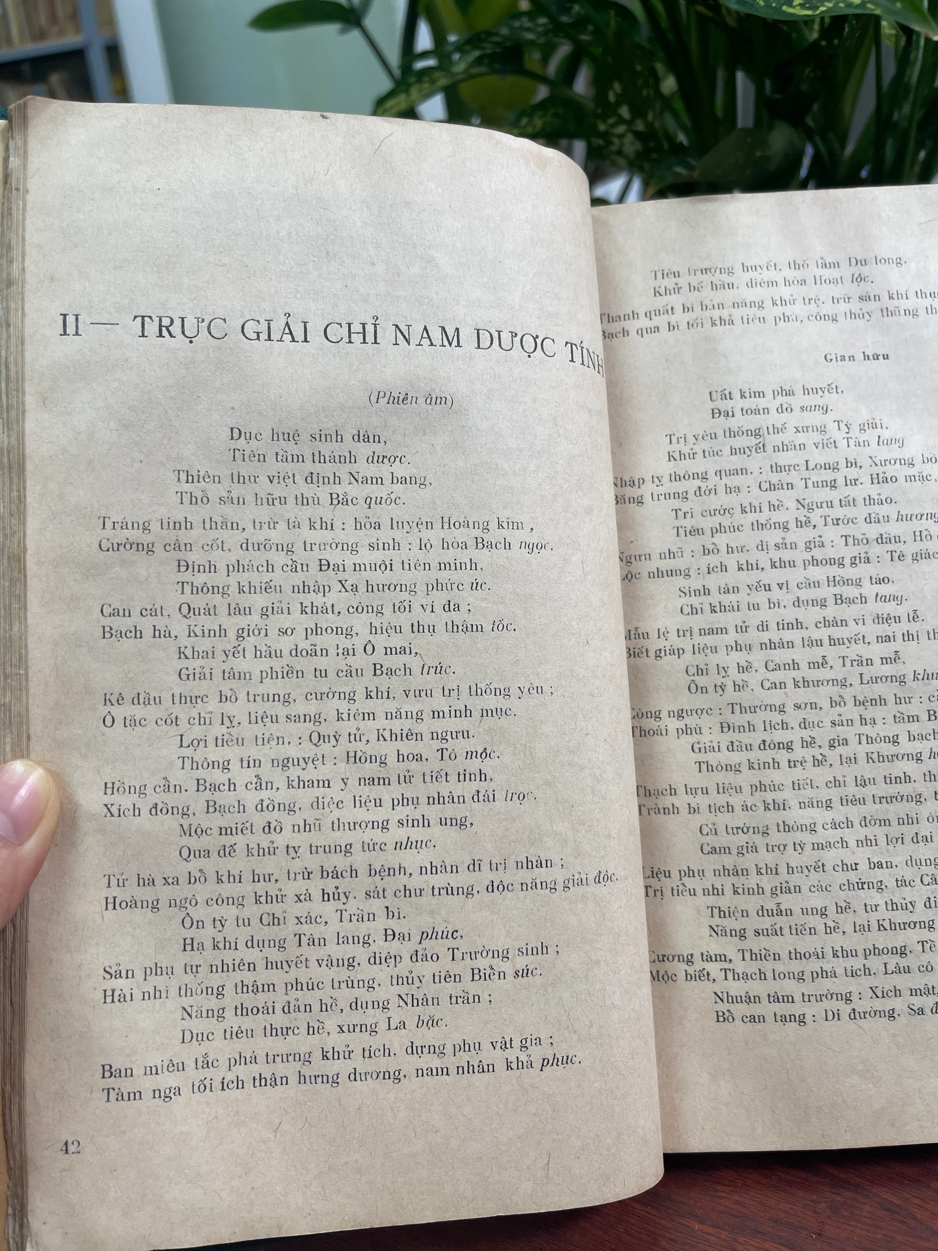 Hồng nghĩa giác tư y thư 605891