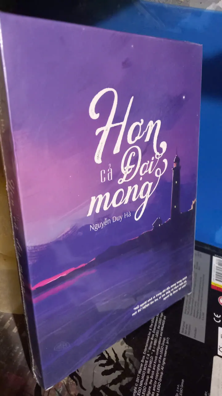 hơn cả đợi mong - nguyễn duy hà