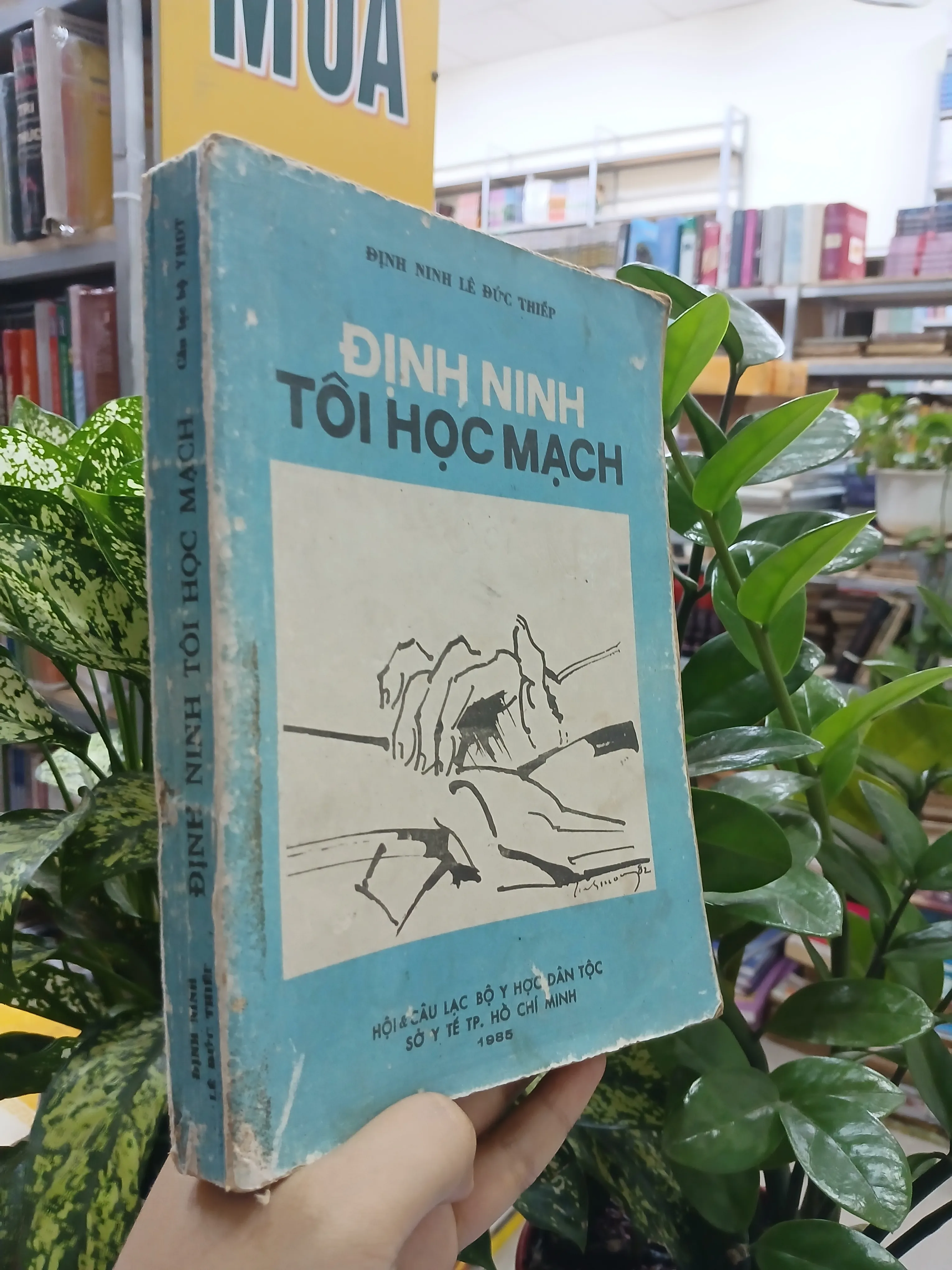 ĐỊNH NINH TÔI HỌC MẠCH - ĐỊNH NINH LÊ ĐỨC THIẾP 