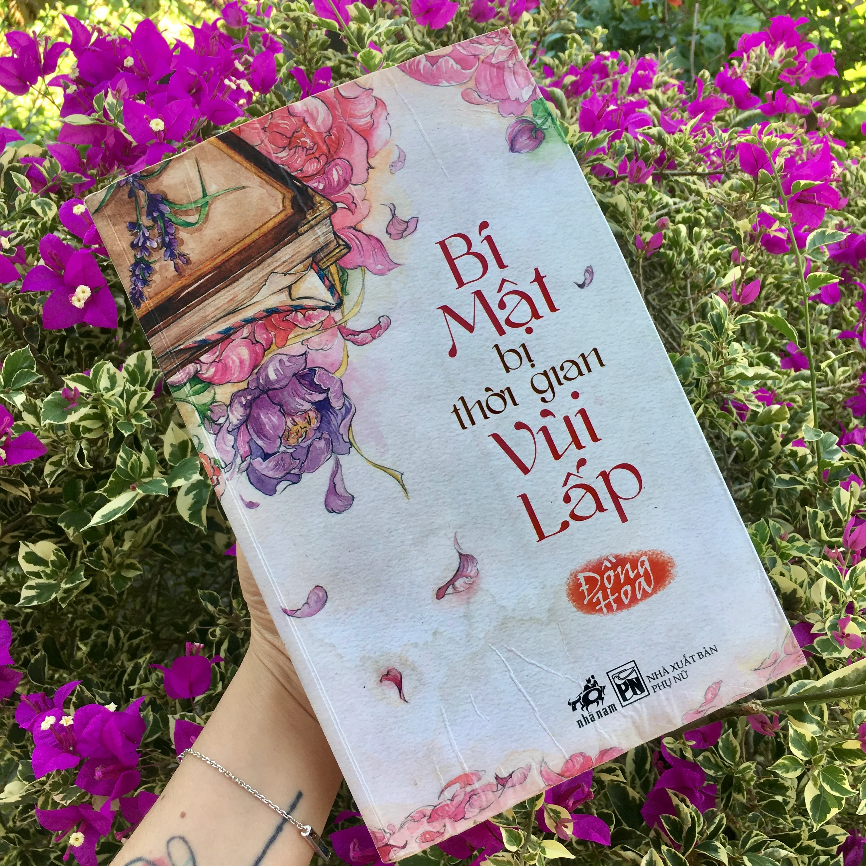 Bí mật bị thời gian vui lấp Đồng Hoa