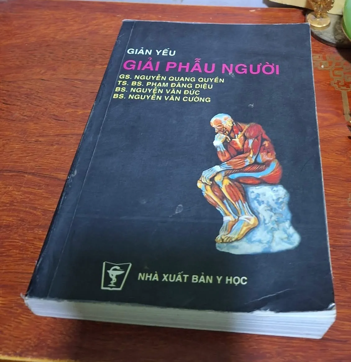 Giản yếu Giải phẩu người