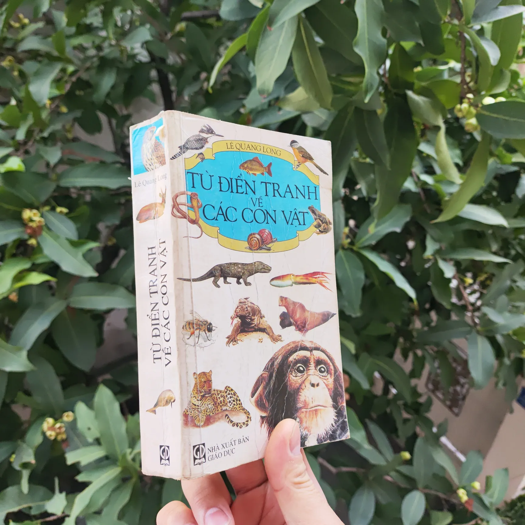 Từ Điển Tranh Về Các Con Vật - Lê Quang Long