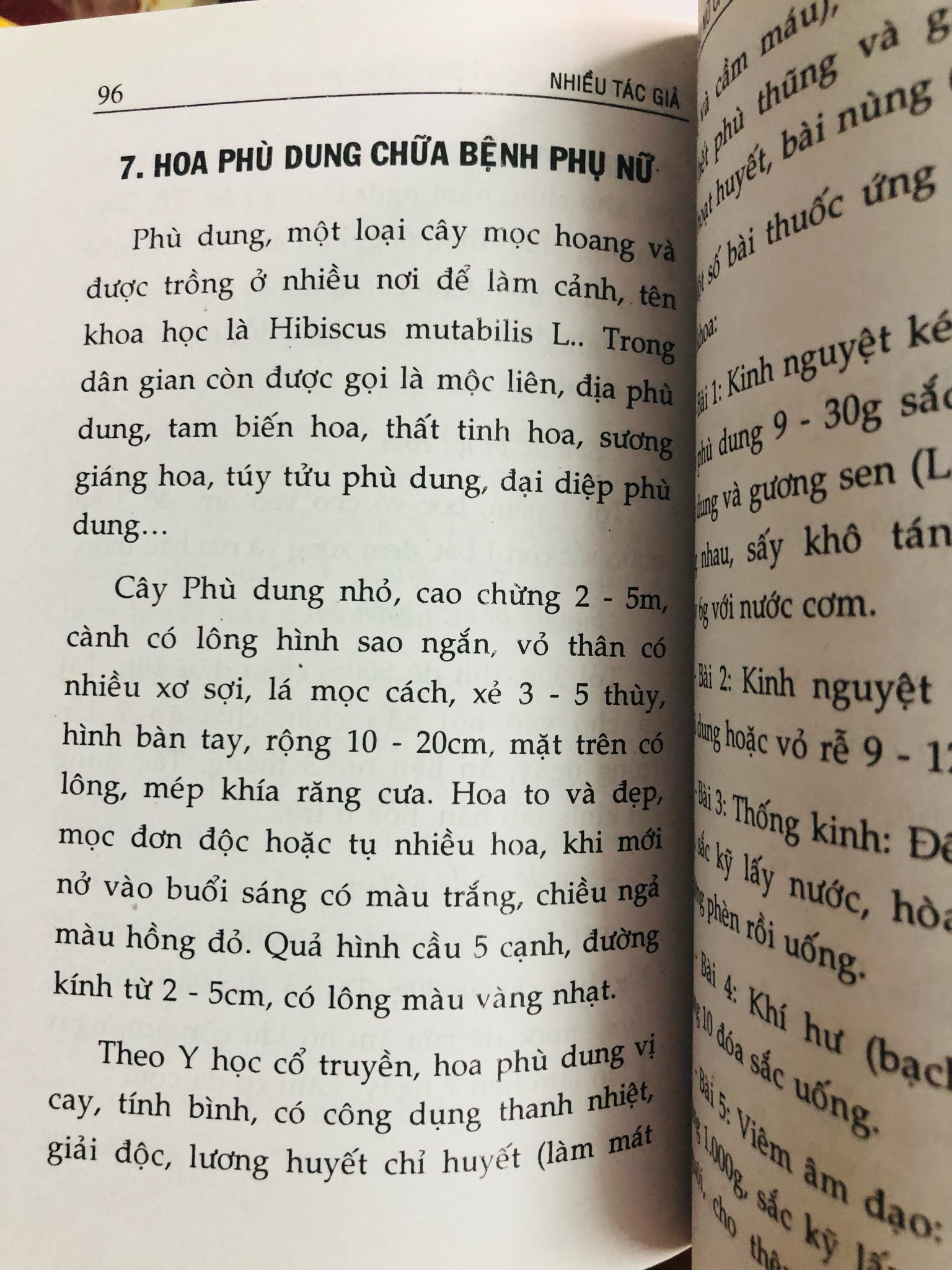 ĂN CHAY CHO TÂM THÂN AN LẠC  532180
