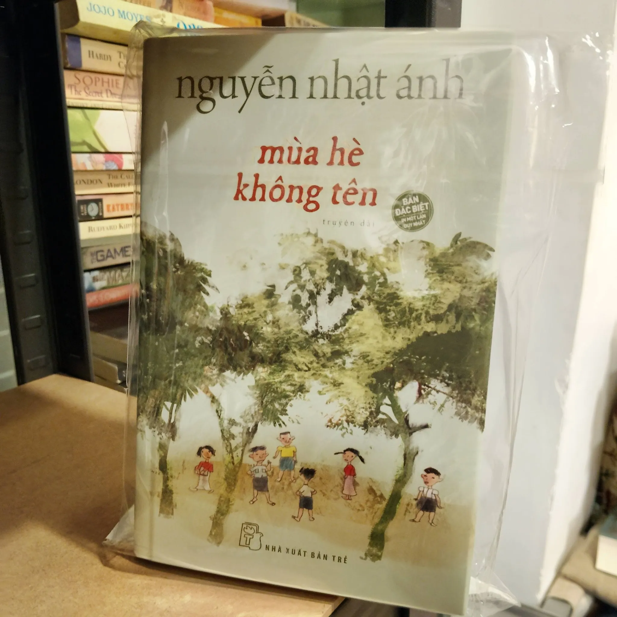 Mùa hè không tên - Nguyễn Nhật Ánh (Bìa cứng)