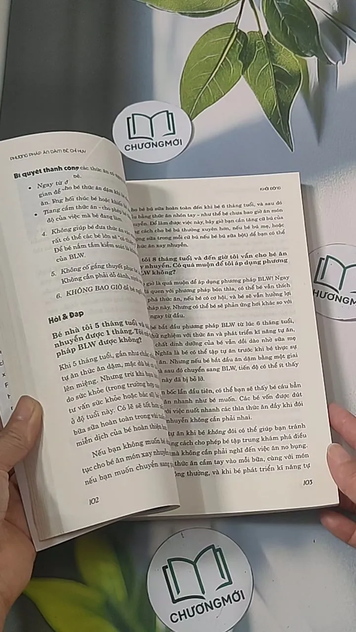 Phương pháp ăn dặm bé chỉ huy 688485