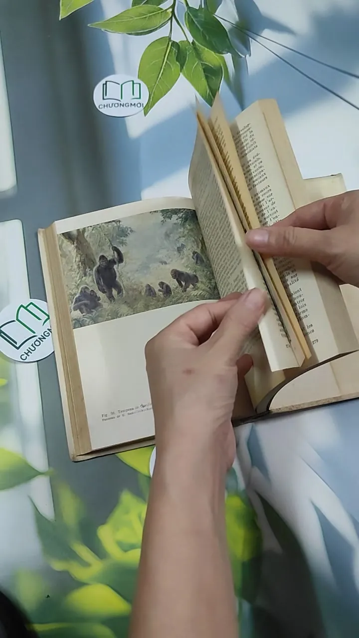 [MIỄN PHÍ BỌC SÁCH] L'Origine de l'Homme - Mikhail Nesturkh 750827