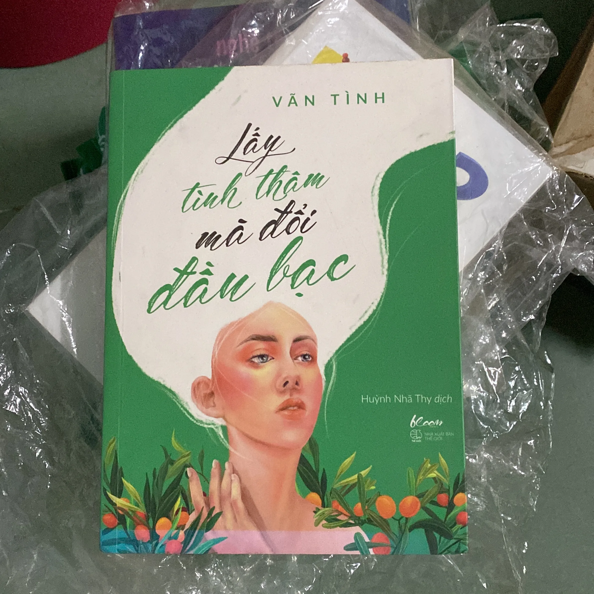 Lấy tình thâm mà đổi lấy đầu bạc - Vãn Tình