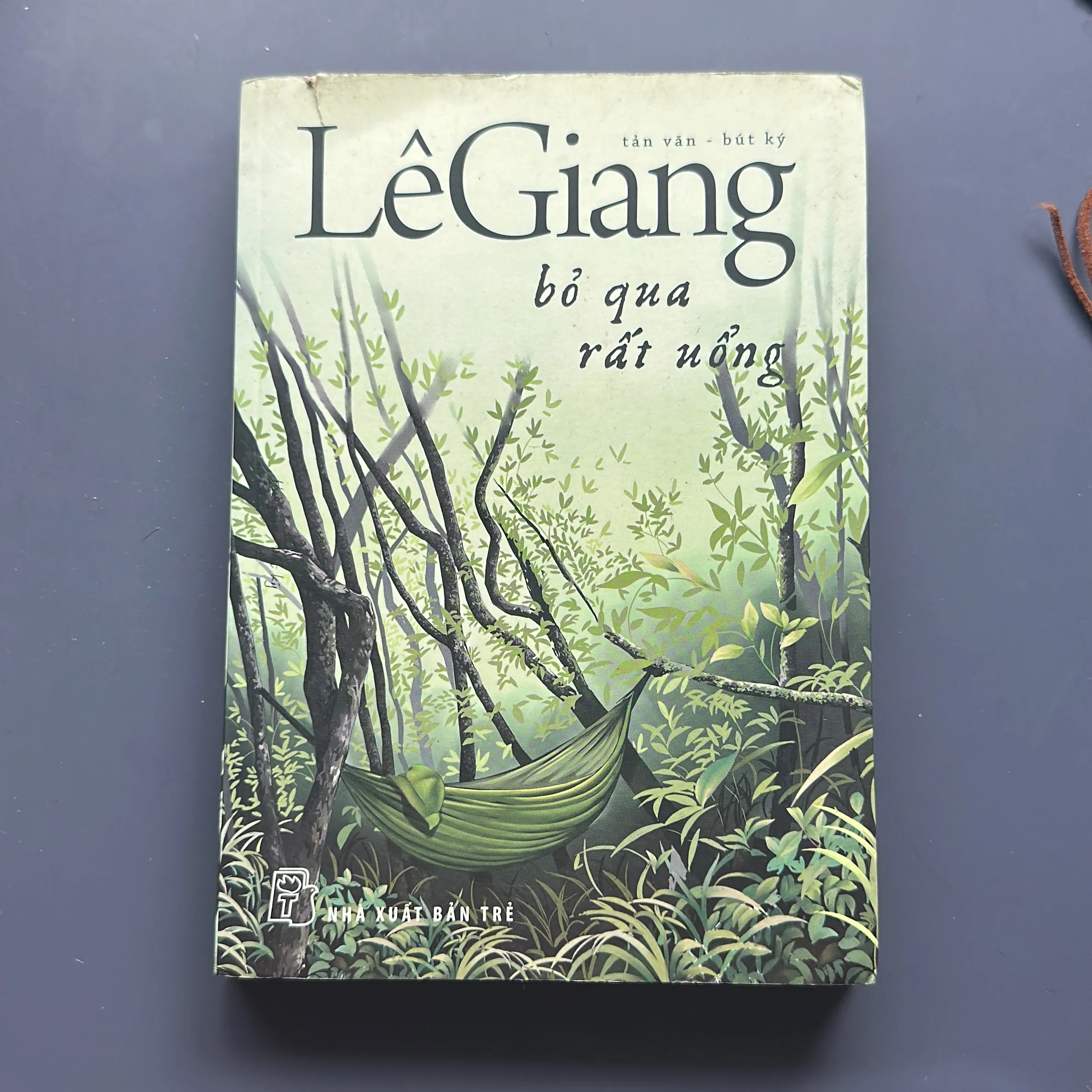 Bỏ Qua Rất Uổng (tản văn - bút ký) - Lê Giang