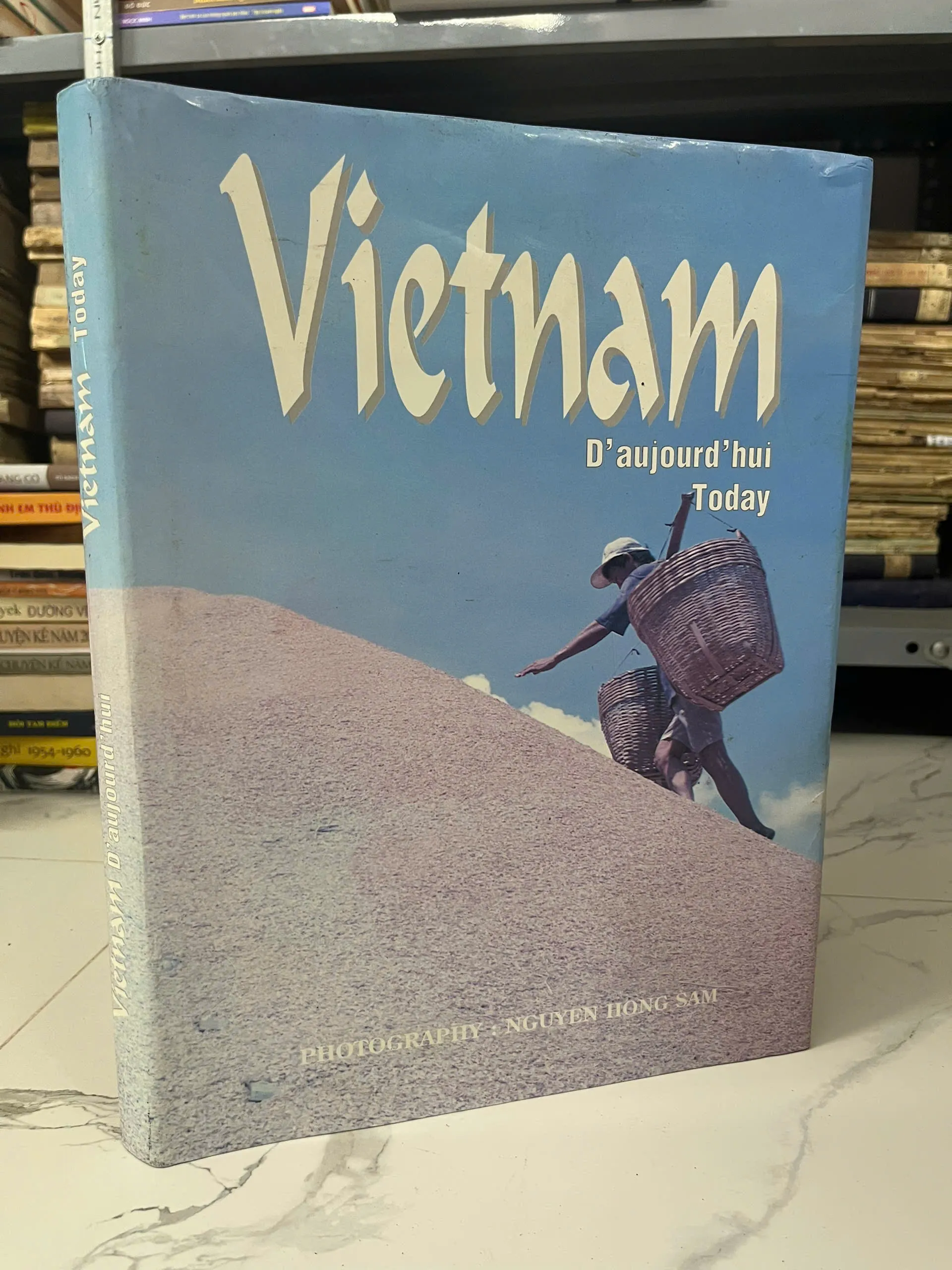 Vietnam Today (Vietnam D'aujourd'hui) — Nguyễn Hồng Sâm