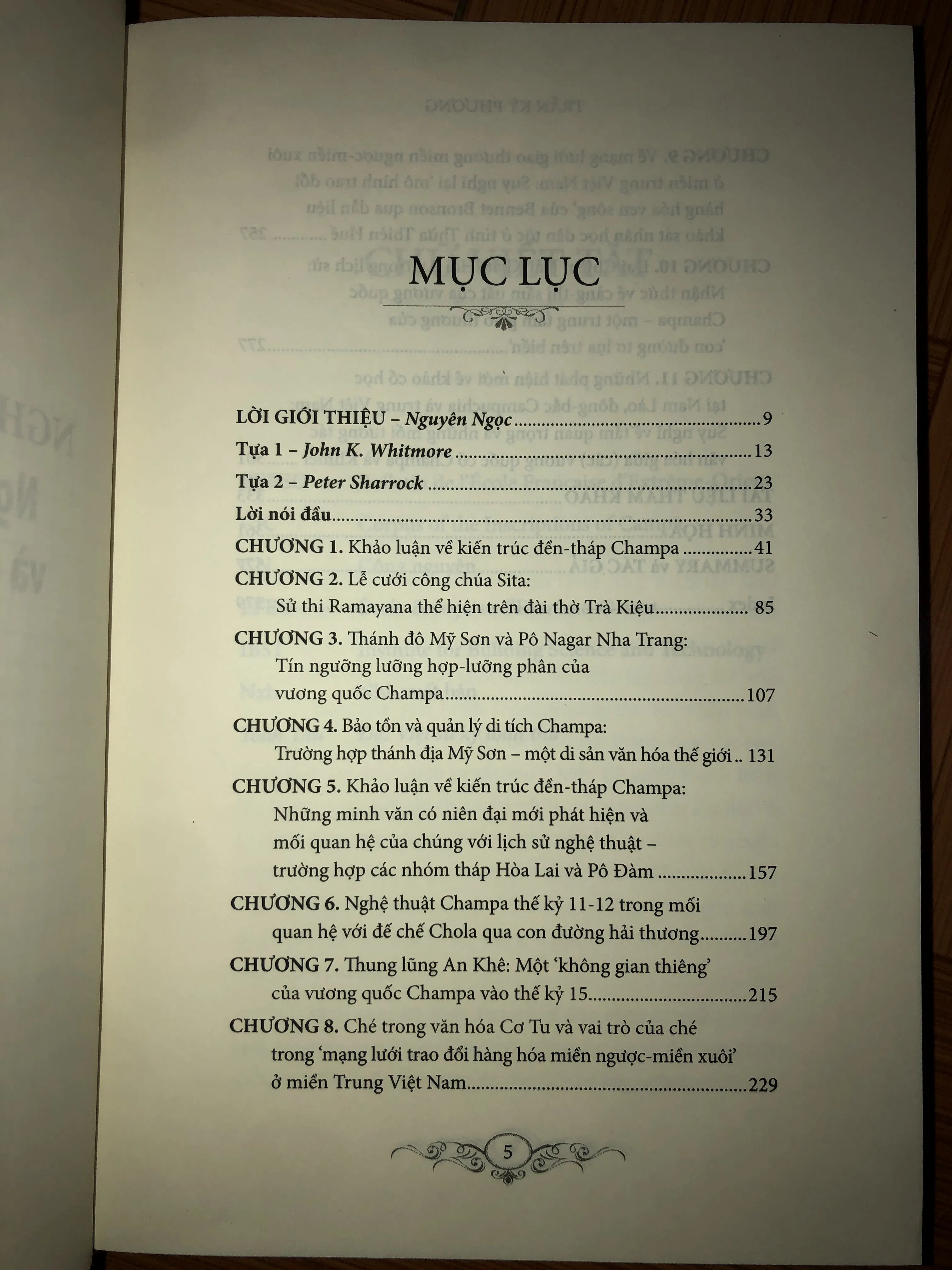Nghệ thuật Chăm Pa - Nghiên cứu kiến trúc và điêu khắc đền-tháp 642594