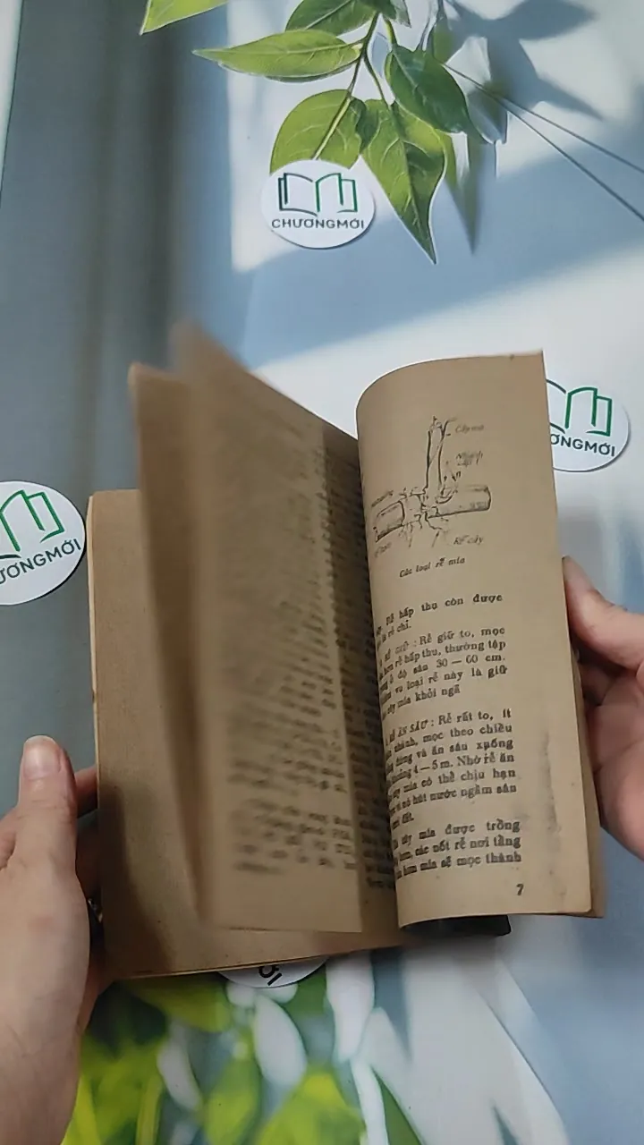 [XƯA] Khoa Học Đời Sống: Vị Ngọt Quê Hương  (1984) 776002