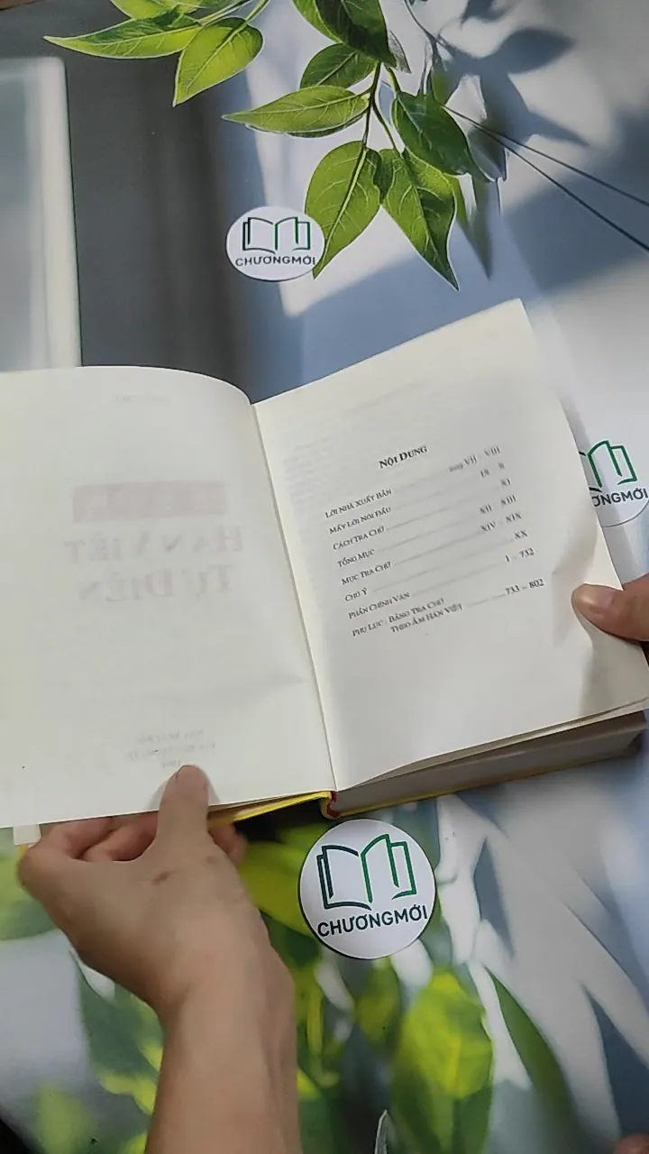 [MIỄN PHÍ BỌC SÁCH] Hán Việt Tự Điển - Thiều Chửu 750810