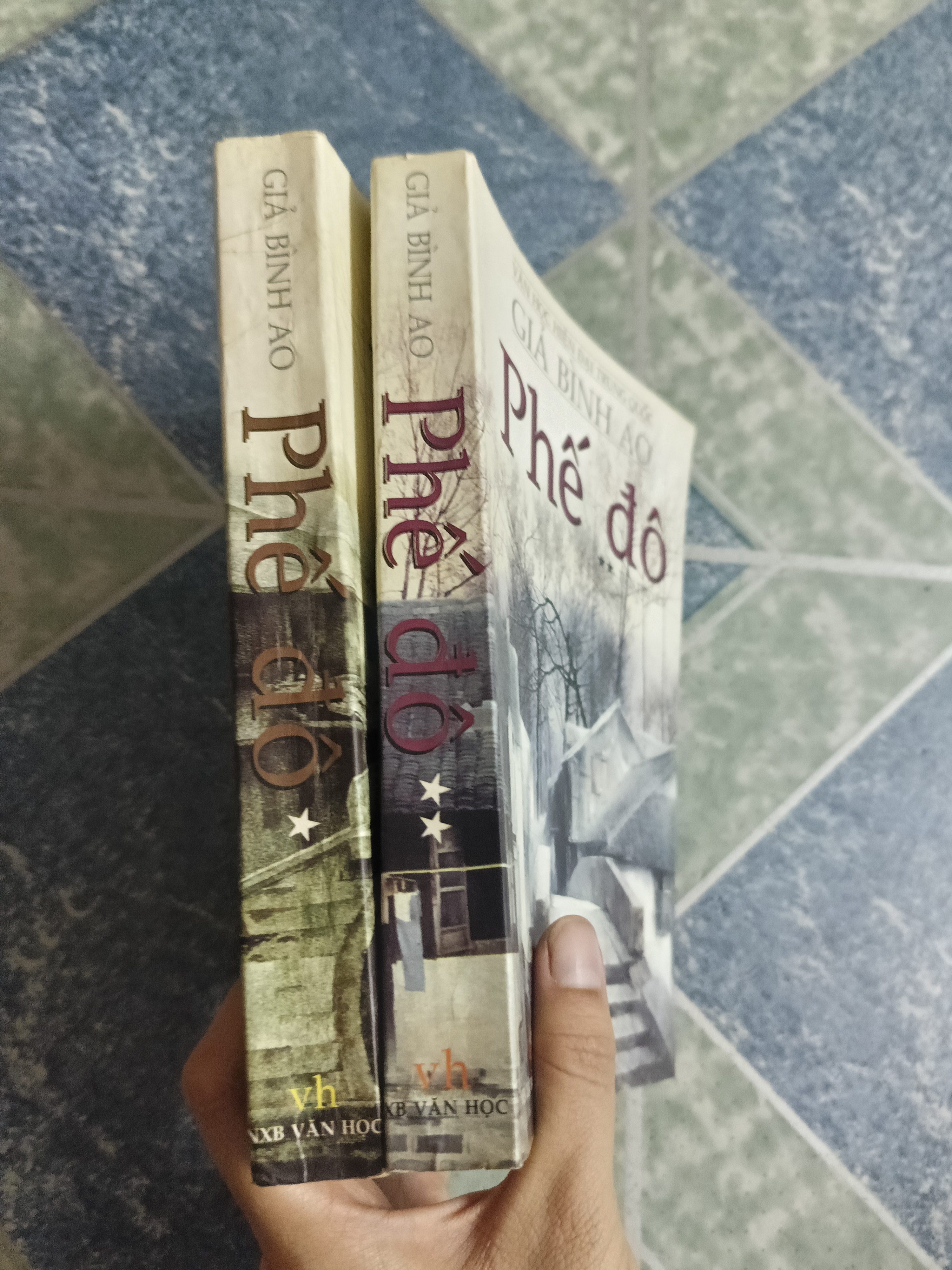 Phế Đô - Giả Bình Ao