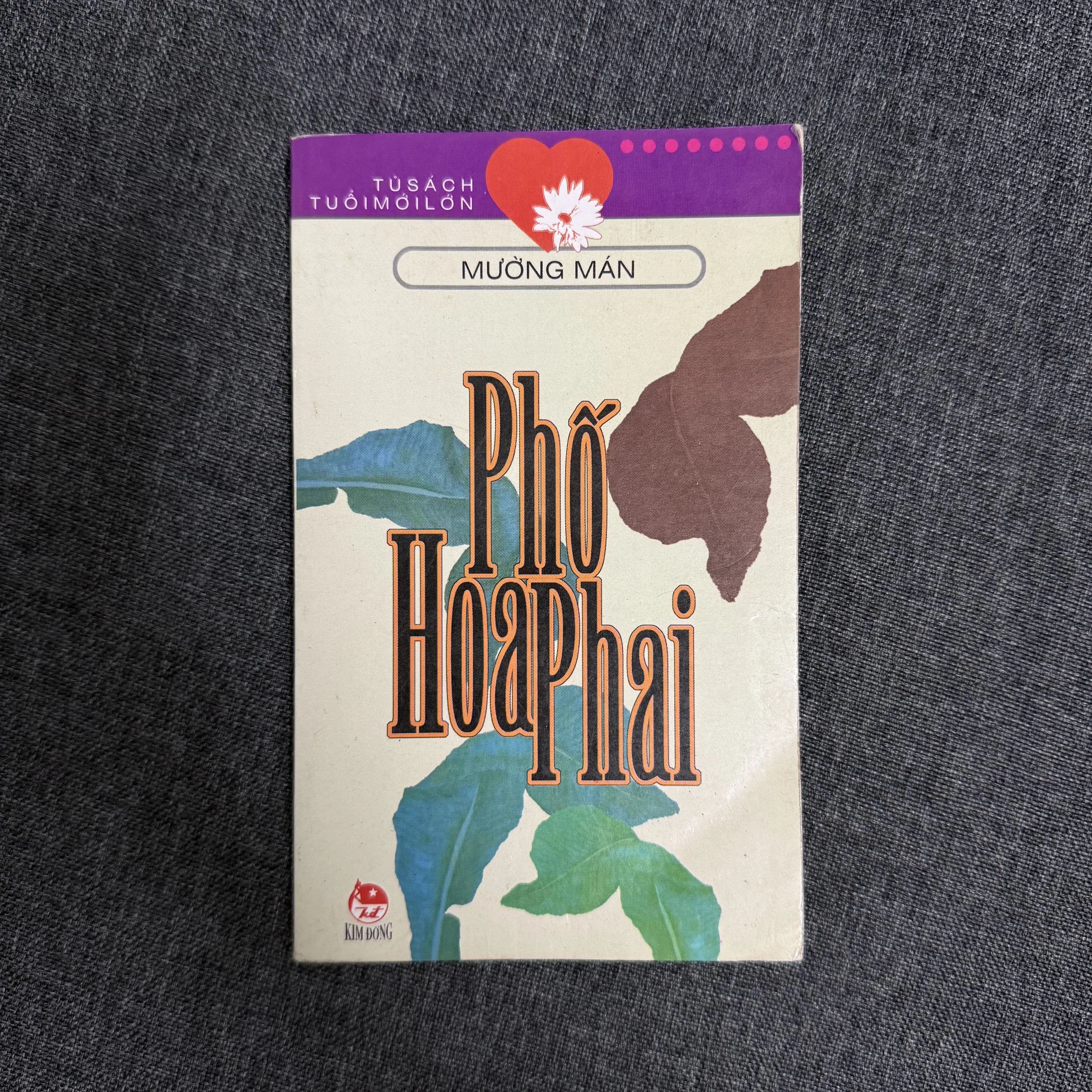 Phố hoa phai - Mường Mán