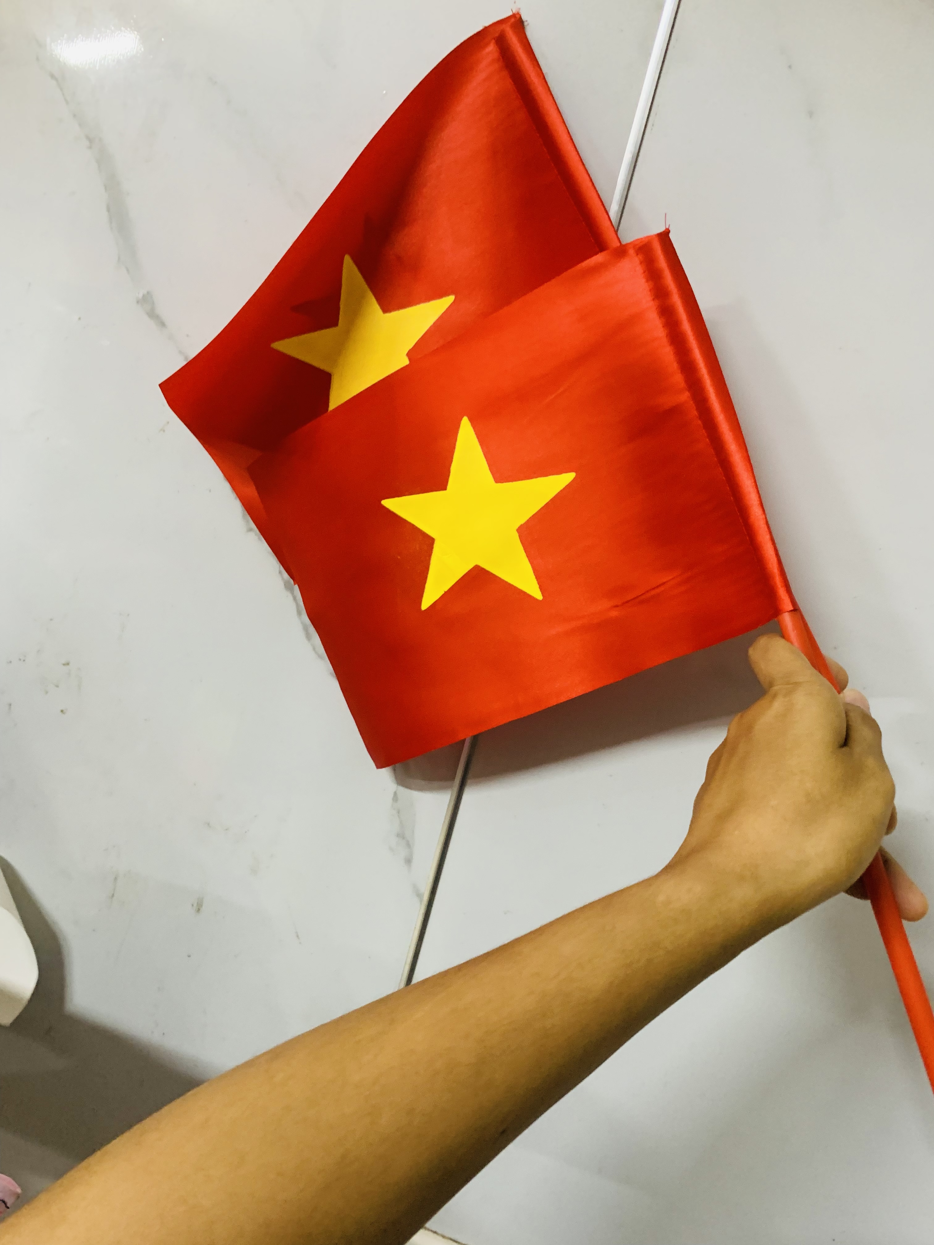 combo 10 chiếc  cờ cầm tay, cờ vẫy kèm cán 452788