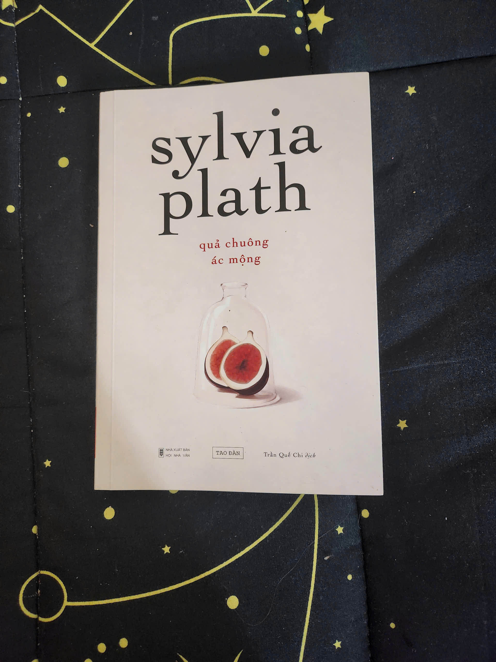 QUẢ CHUÔNG ÁC MỘNG - Sylvia Plath