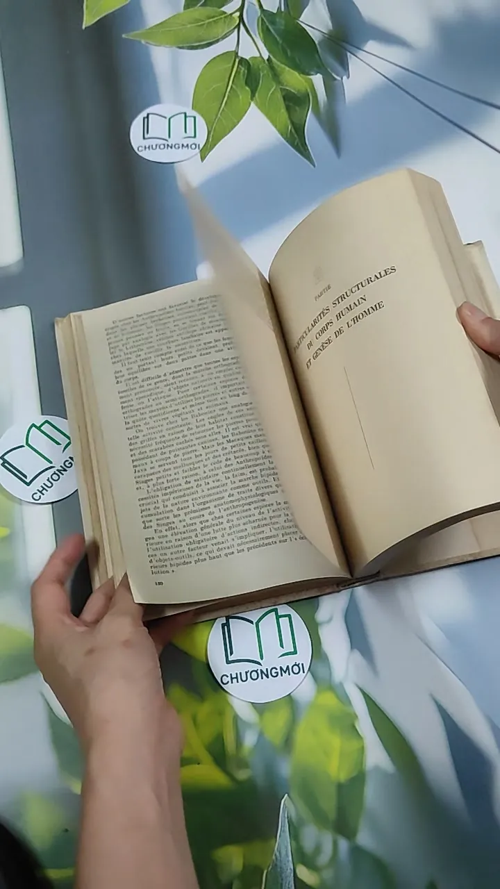 [MIỄN PHÍ BỌC SÁCH] L'Origine de l'Homme - Mikhail Nesturkh 750827