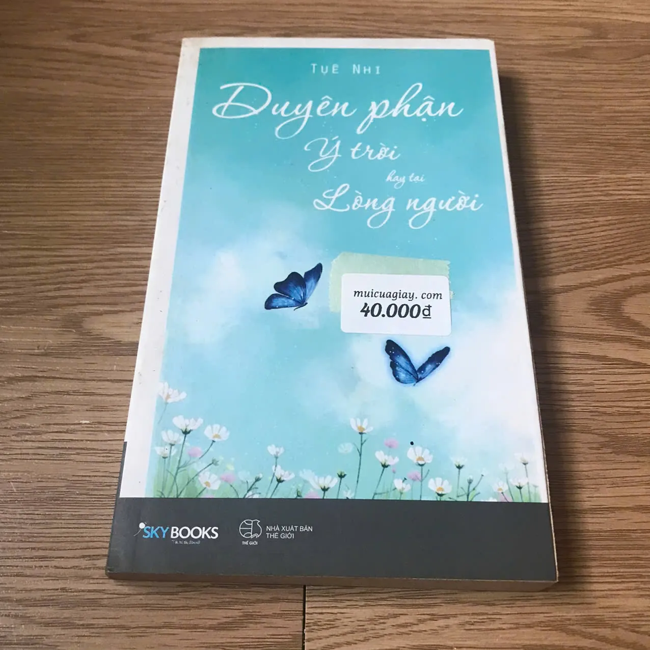 Duyên phận ý trời hay tại lòng người - Tuệ Nhi