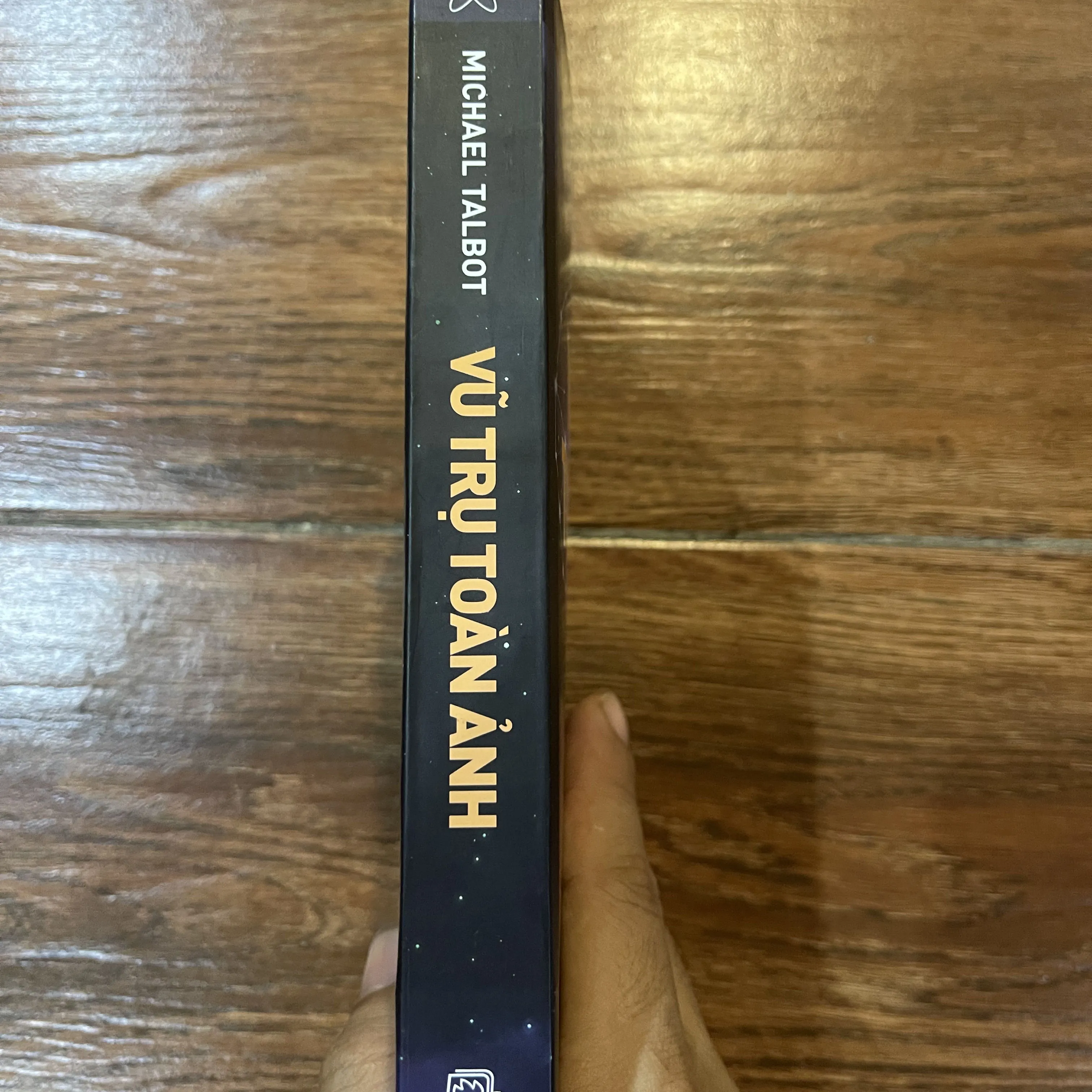 Vũ Trụ Toàn Ảnh - Michael Talbot (15) 568278