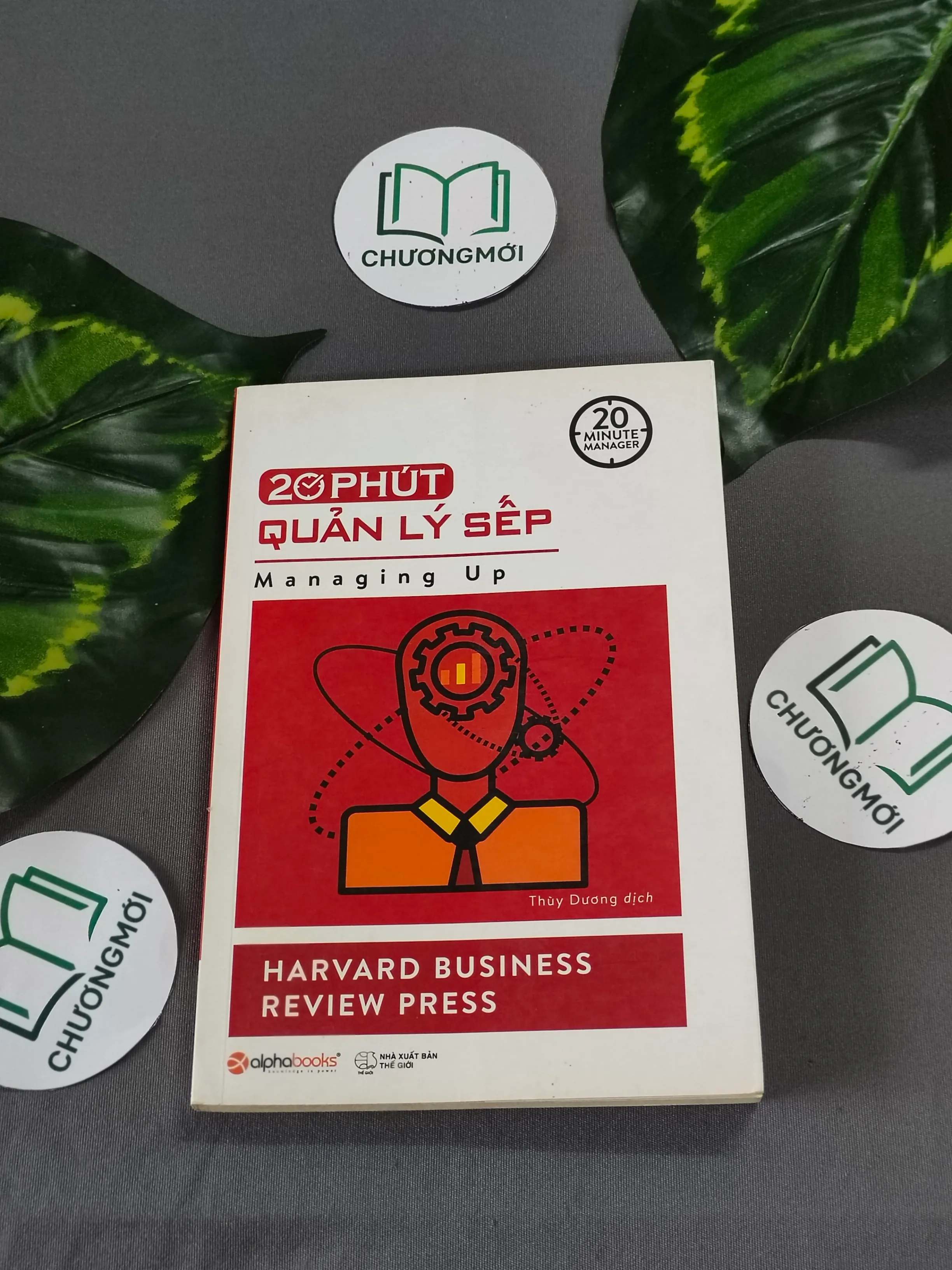 20 Phút Quản Lý Sếp - Harvard Business Review Press