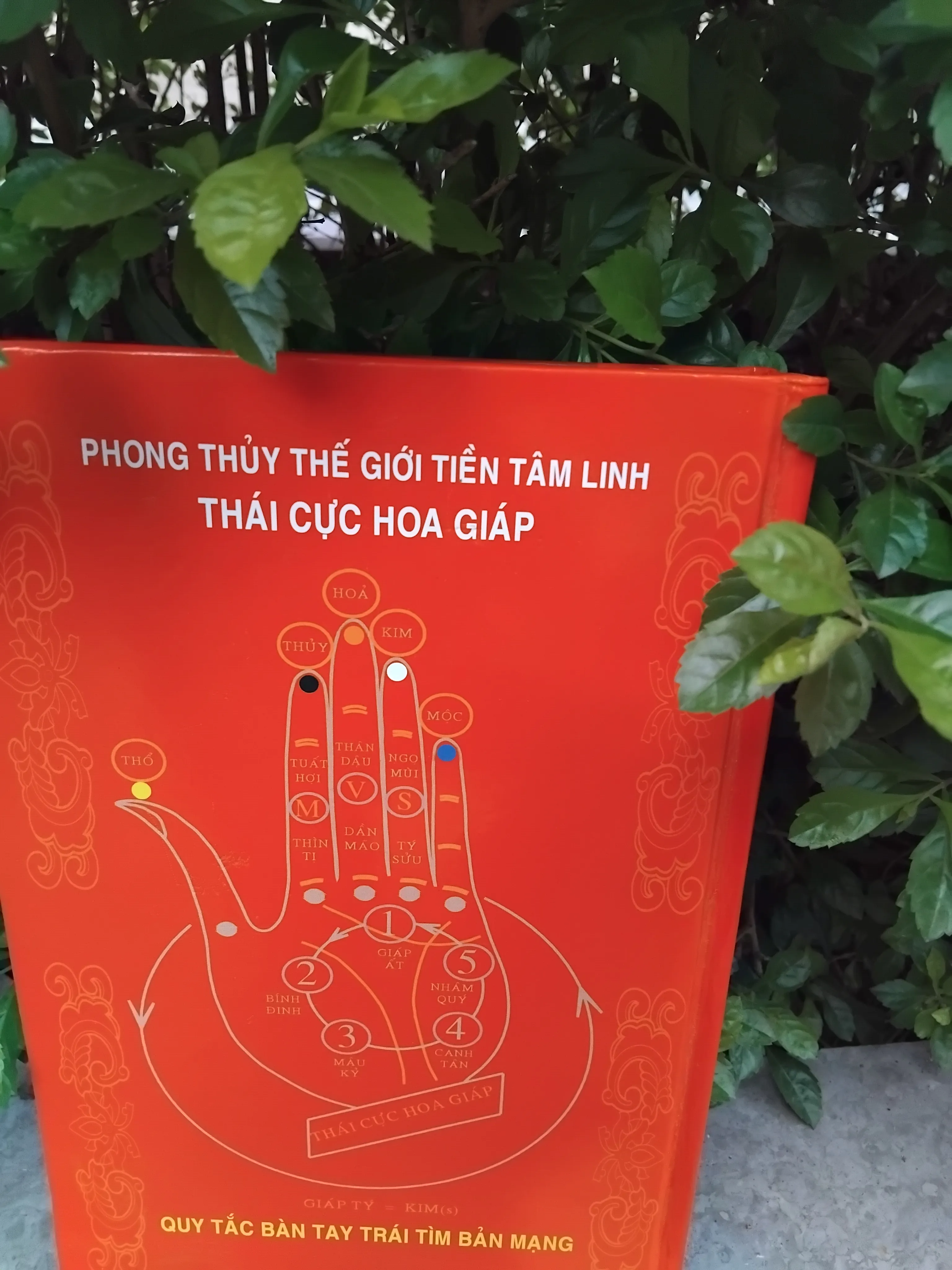 Hằng số luân hồi thái cực hoa giáp của TS Nguyễn Ngọc Thạch  1001360