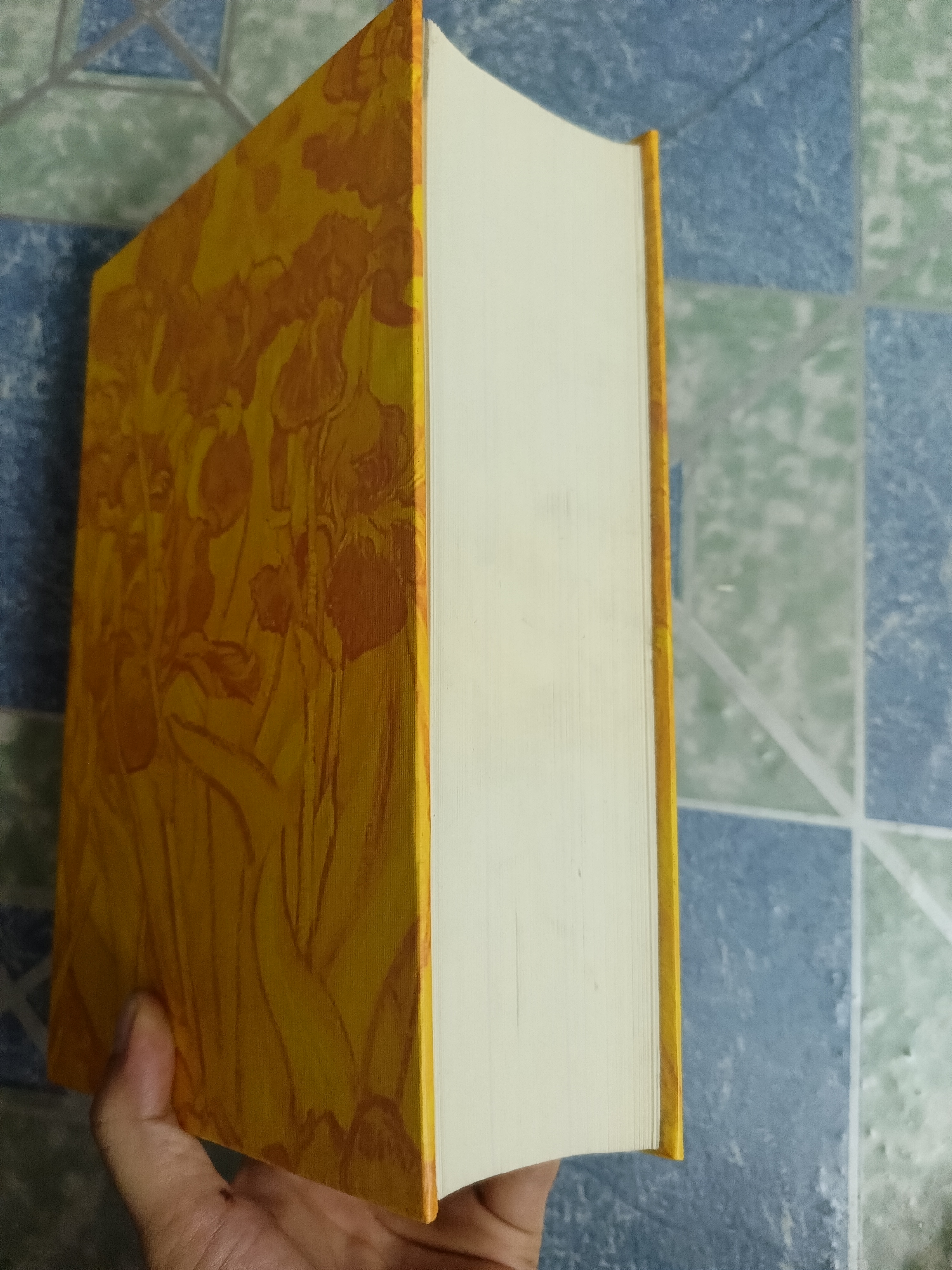 Van Gogh the life - Steven Naifeh & Gregory White Smith 543343