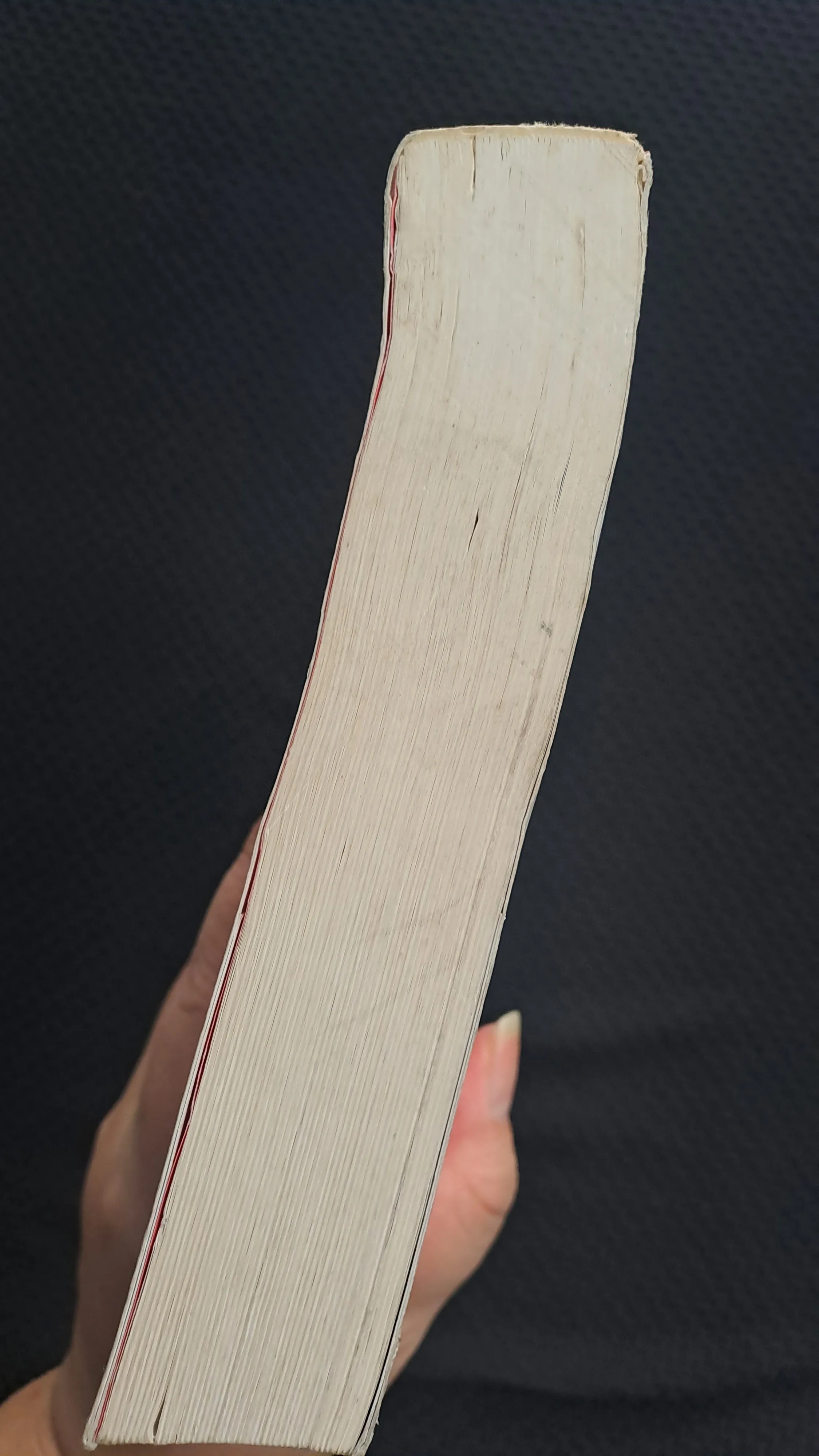 Nếu ốc sên có tình yêu - Đinh Mặc  972247