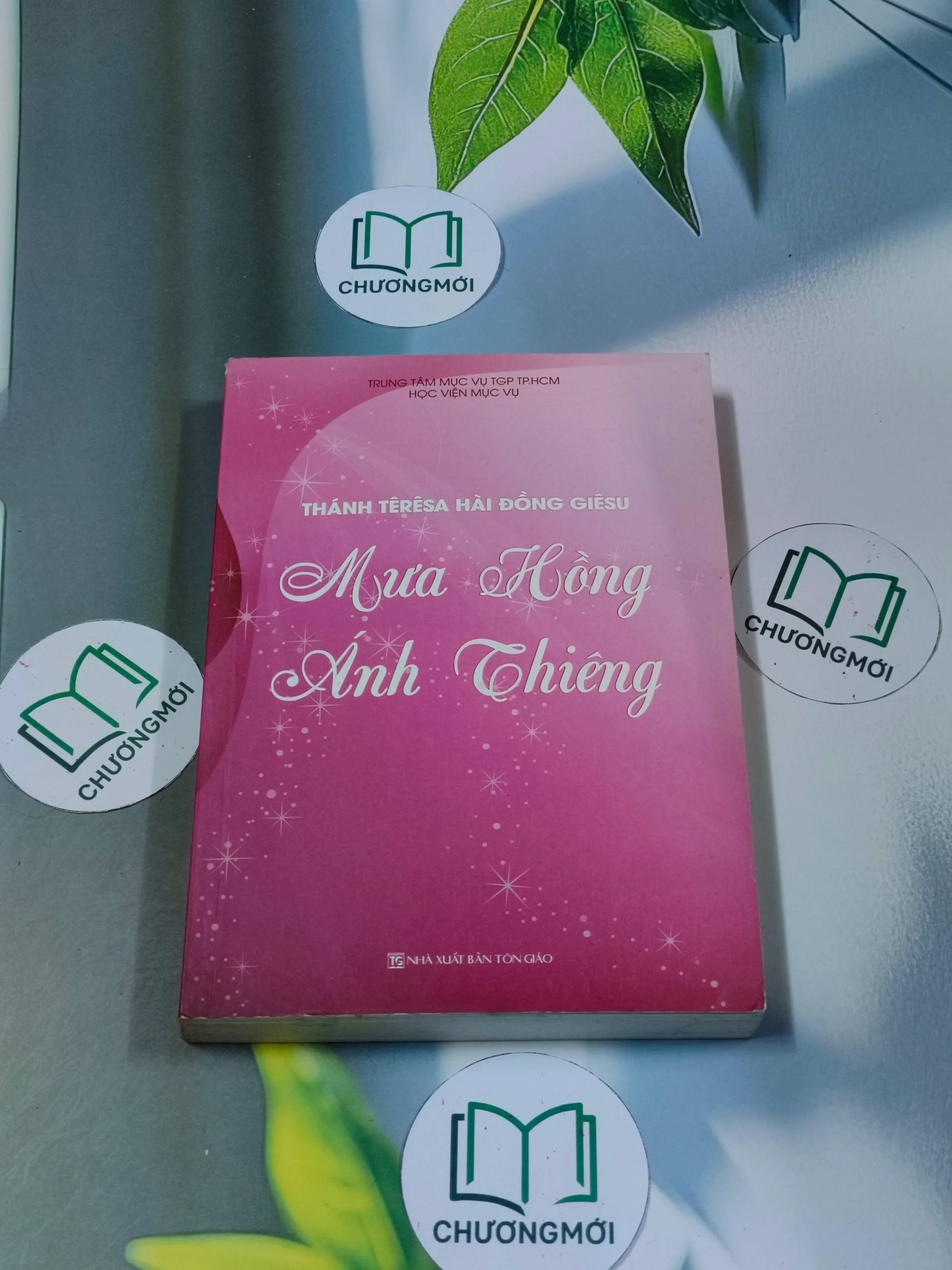 Mưa hồng ánh thiêng - Thánh Têresa hài đồng Giêsu