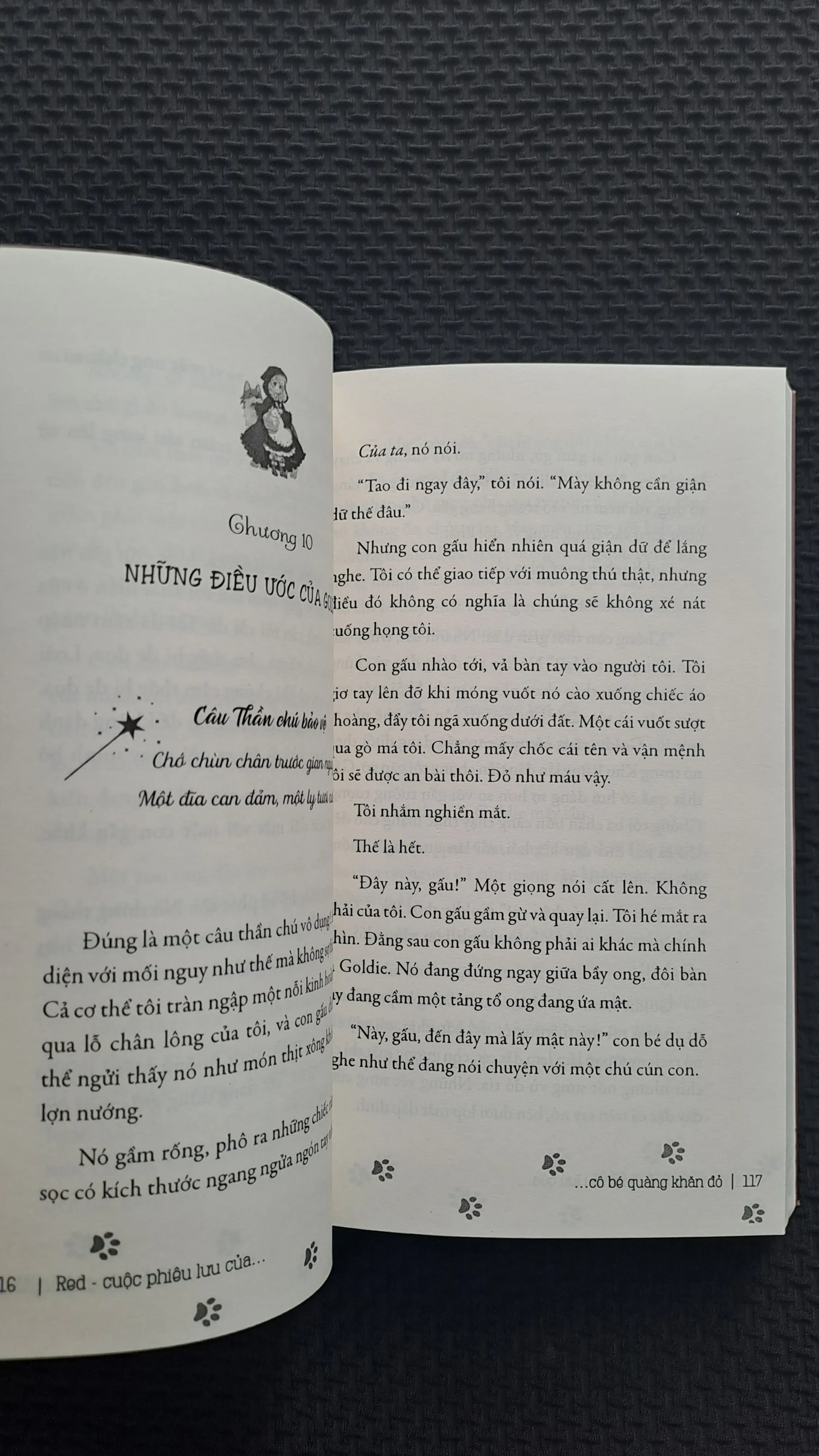 Red: Cuộc phiêu lưu của cô bé quàng khăn đỏ - Liesl Shurtliff 998574