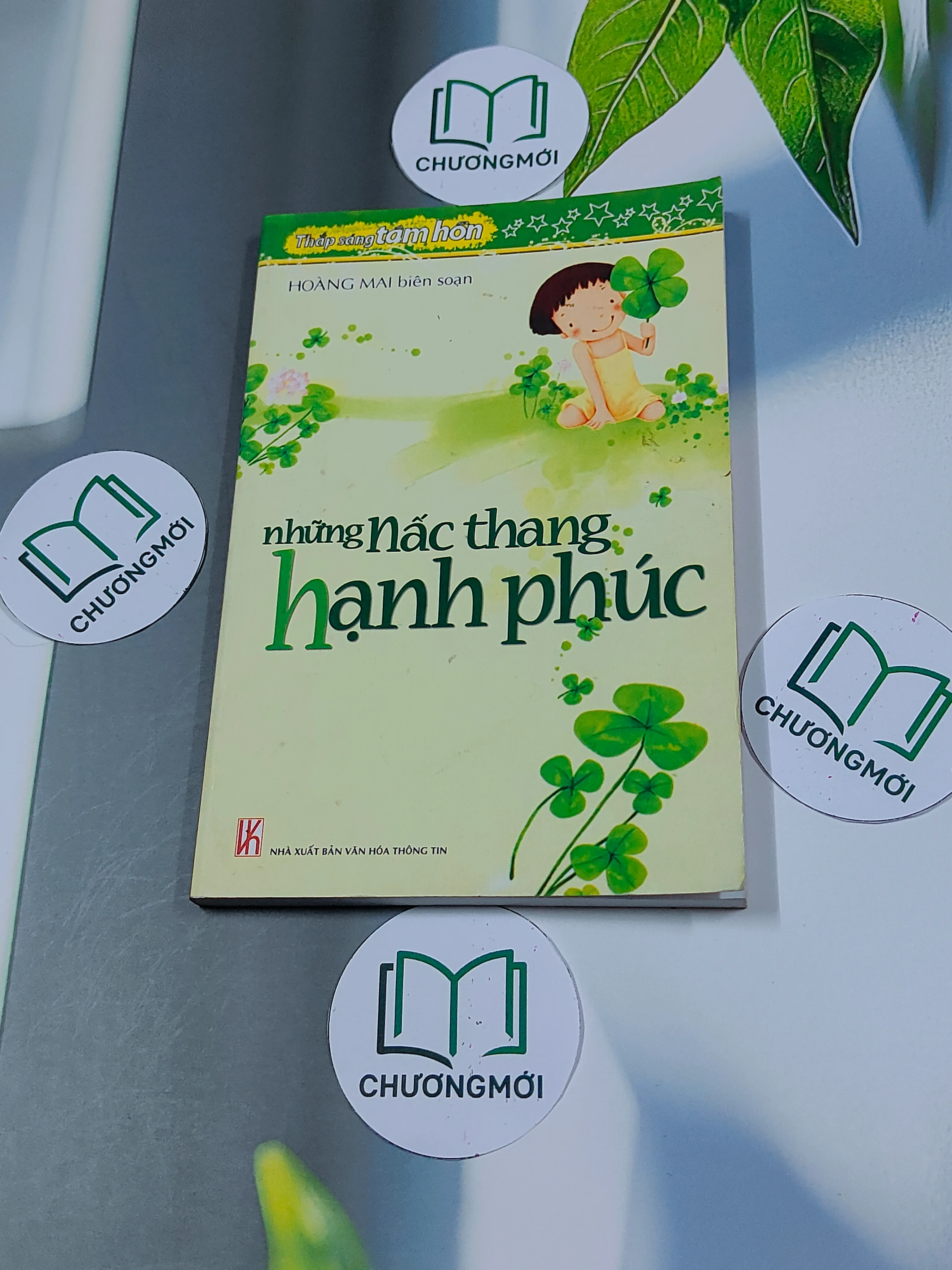 Những Nấc Thang Hạnh Phúc - Hoàng Mai