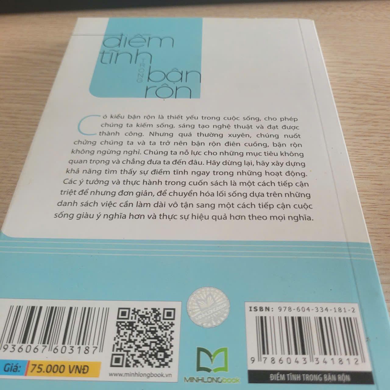 Điềm tĩnh trong bận rộn	Marc Lesser 525511